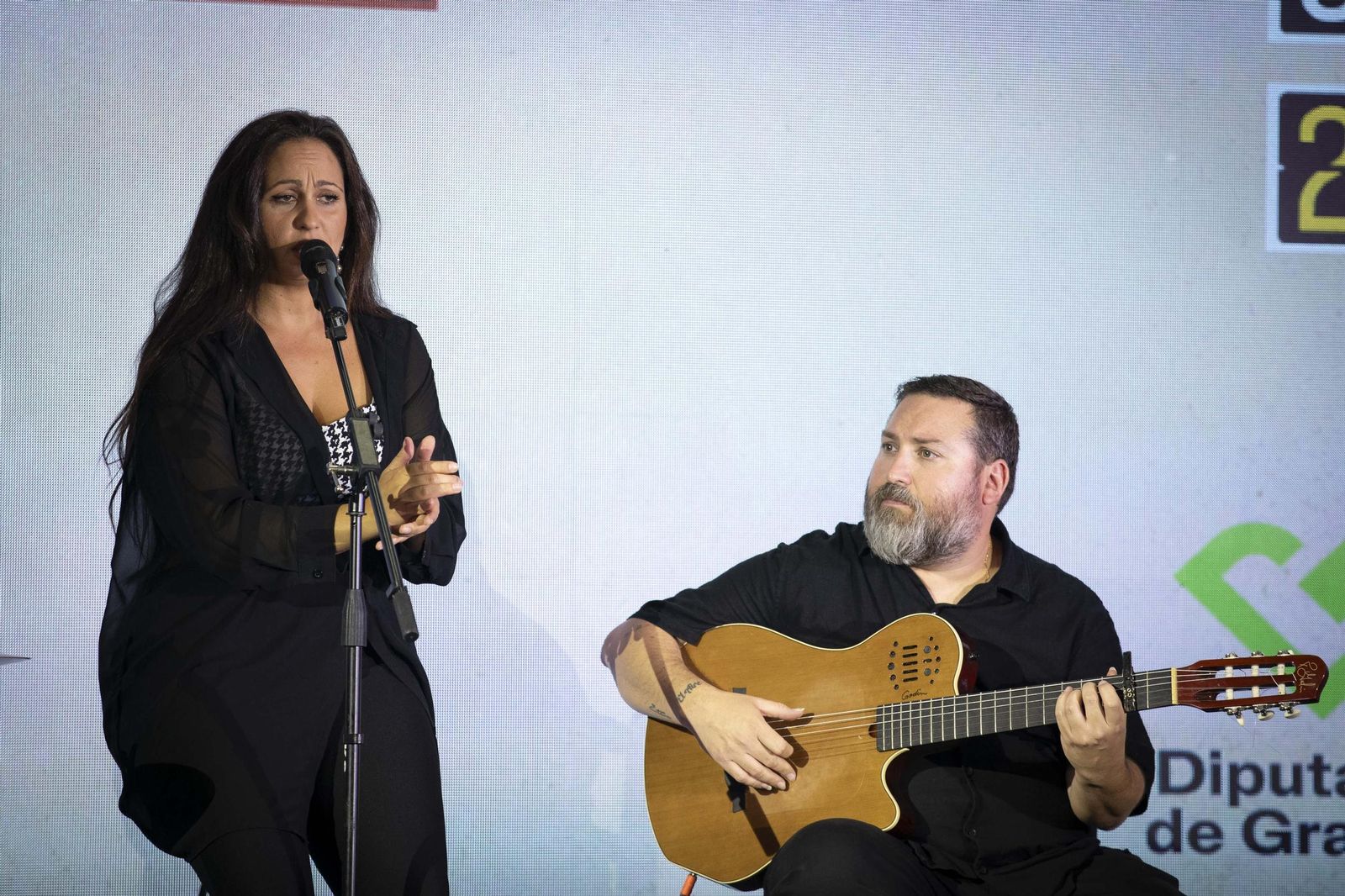 De índigo a Herrera: todas las imágenes de los Premios Turismo de la Diputación de Granada