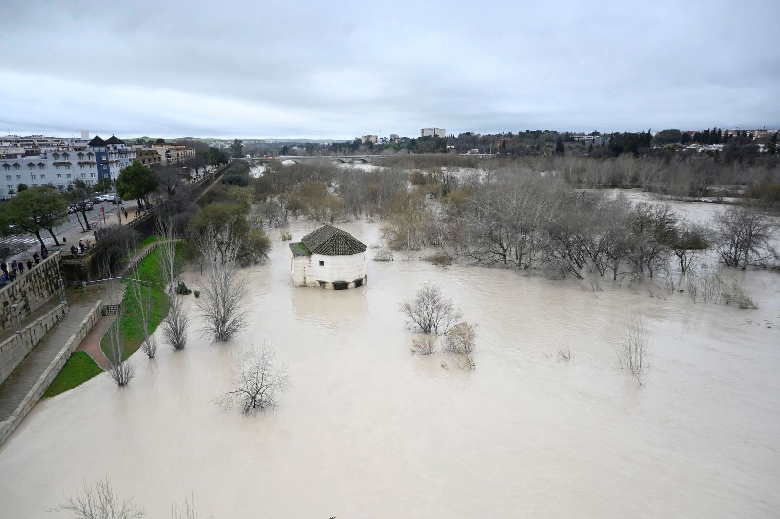 La impresionante crecida del río Guadalquivir: se acerca a los 6 metros a su paso por Córdoba
