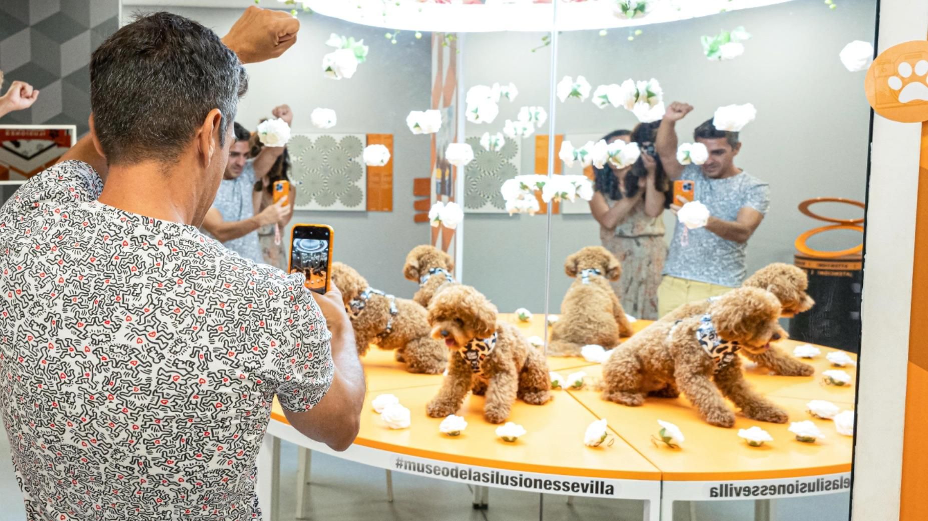 El único museo petfriendly de Sevilla: ilusiones, diversión y talleres para los más pequeños