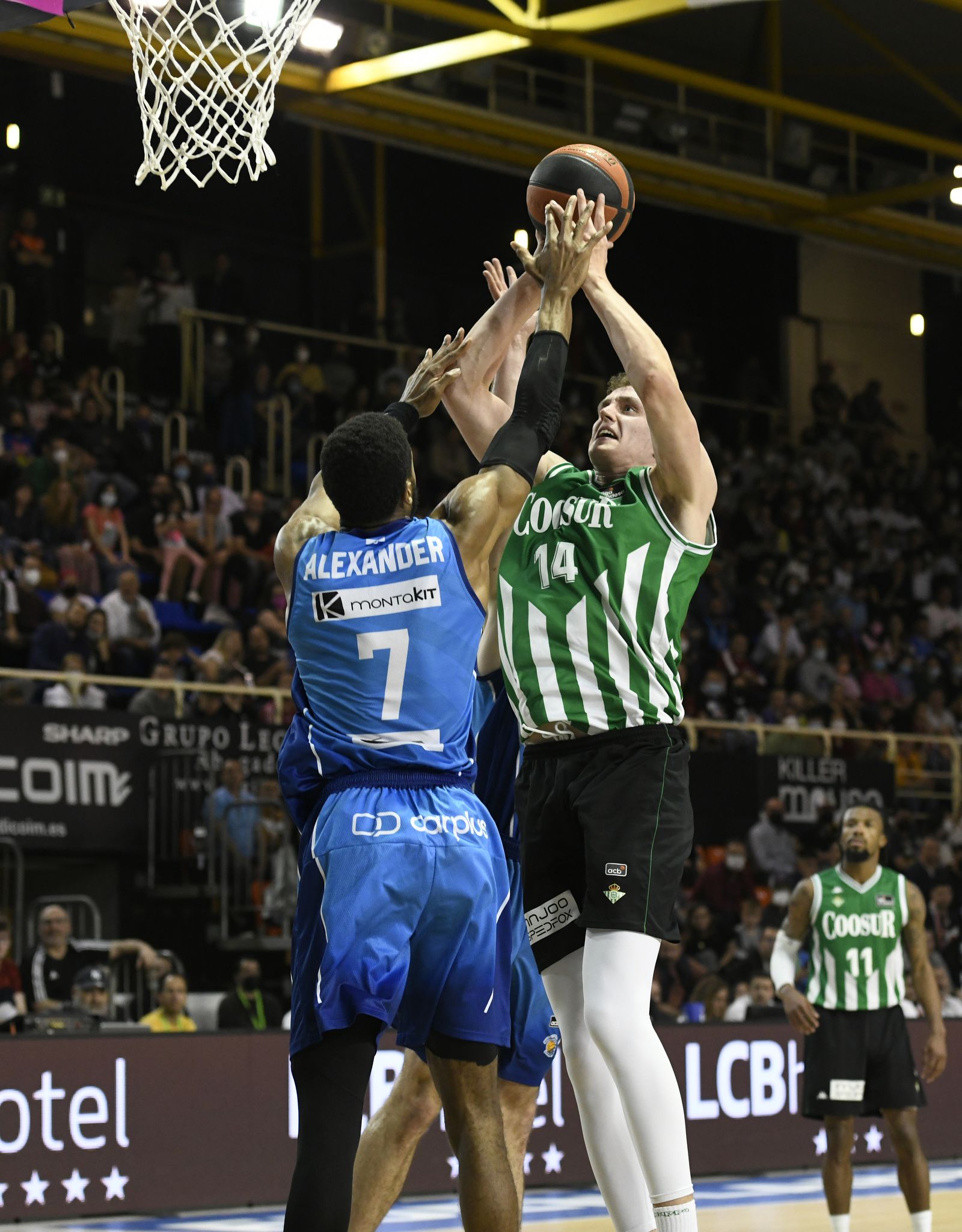 Las imágenes de la fiesta del Coosur Betis