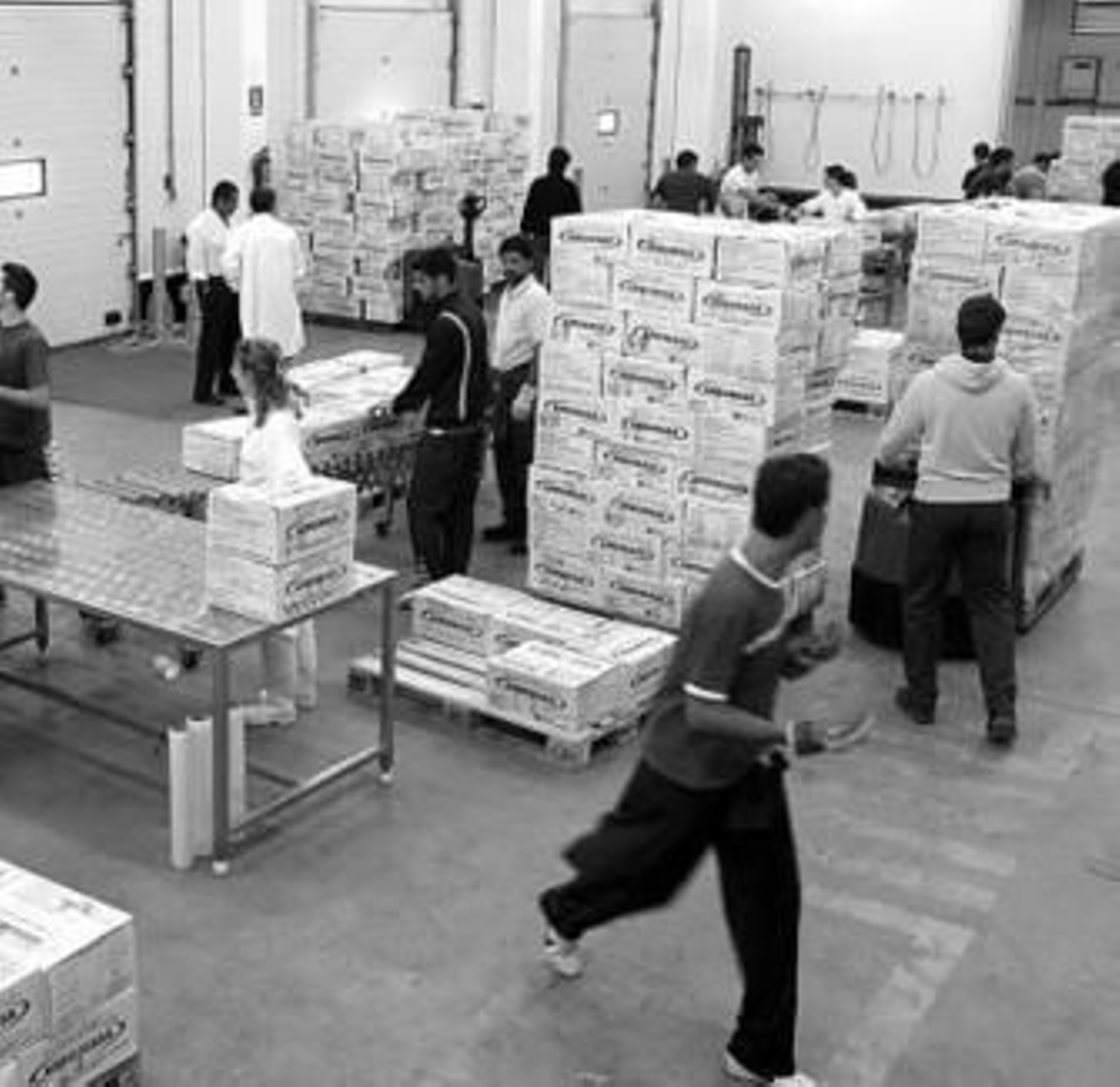 Labores de descarga de marisco y pescado, en las nuevas instalaciones .
