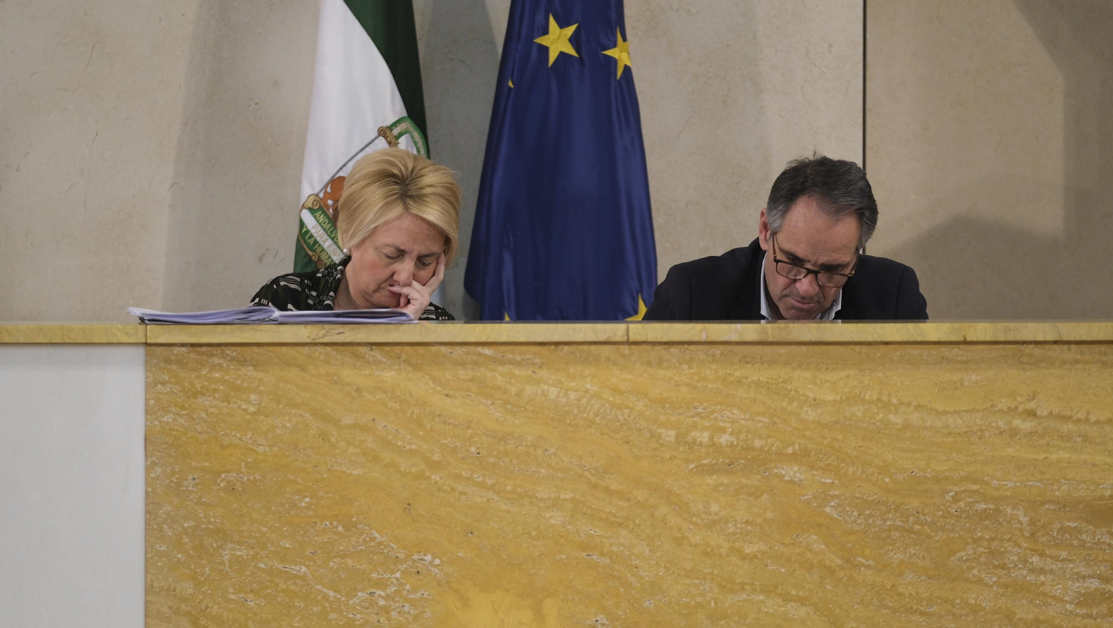 Imágenes del pleno ordinario del Ayuntamiento de Almería