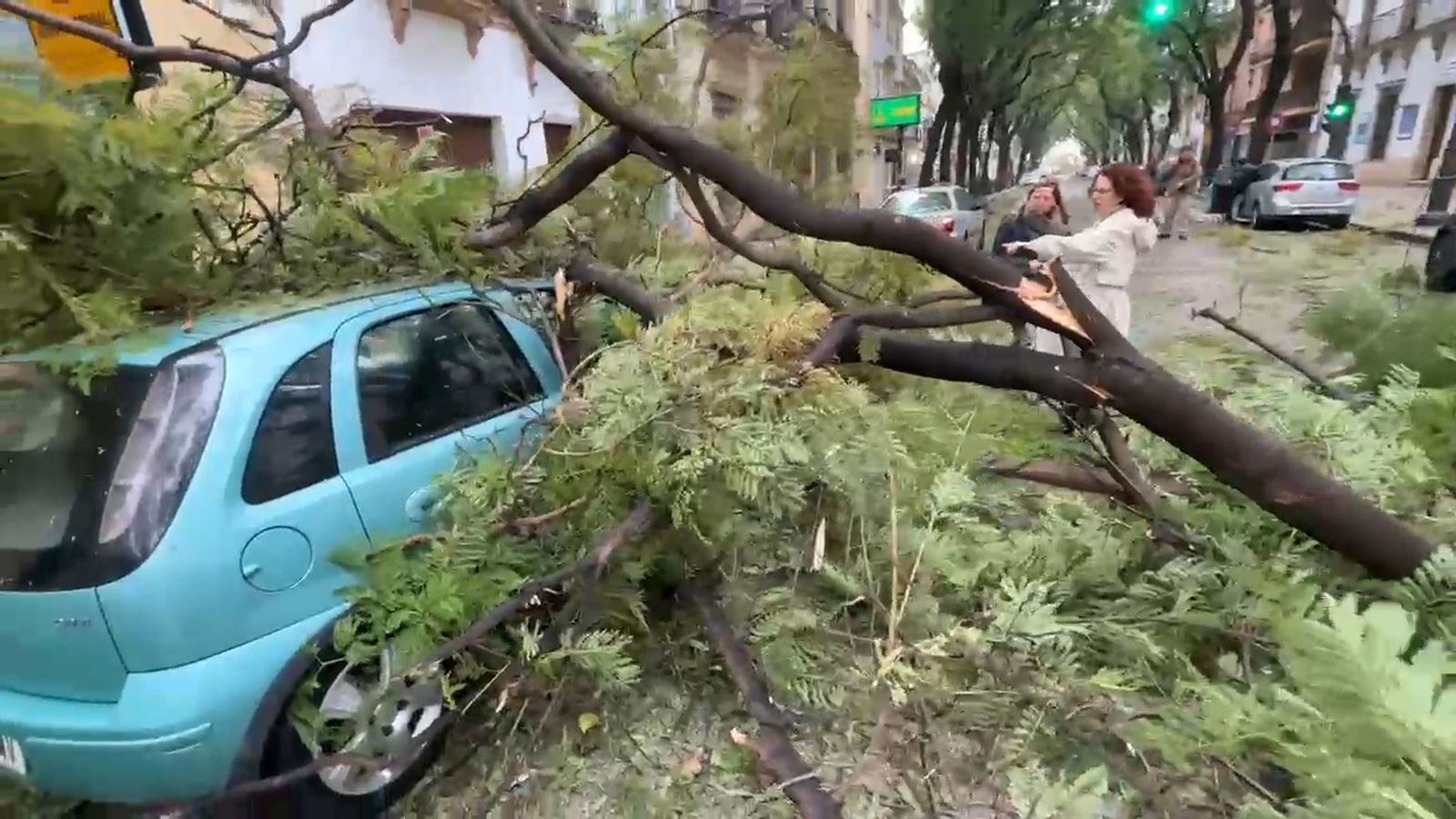 Cae un rama de grandes dimensiones sobre un coche en la Porvera