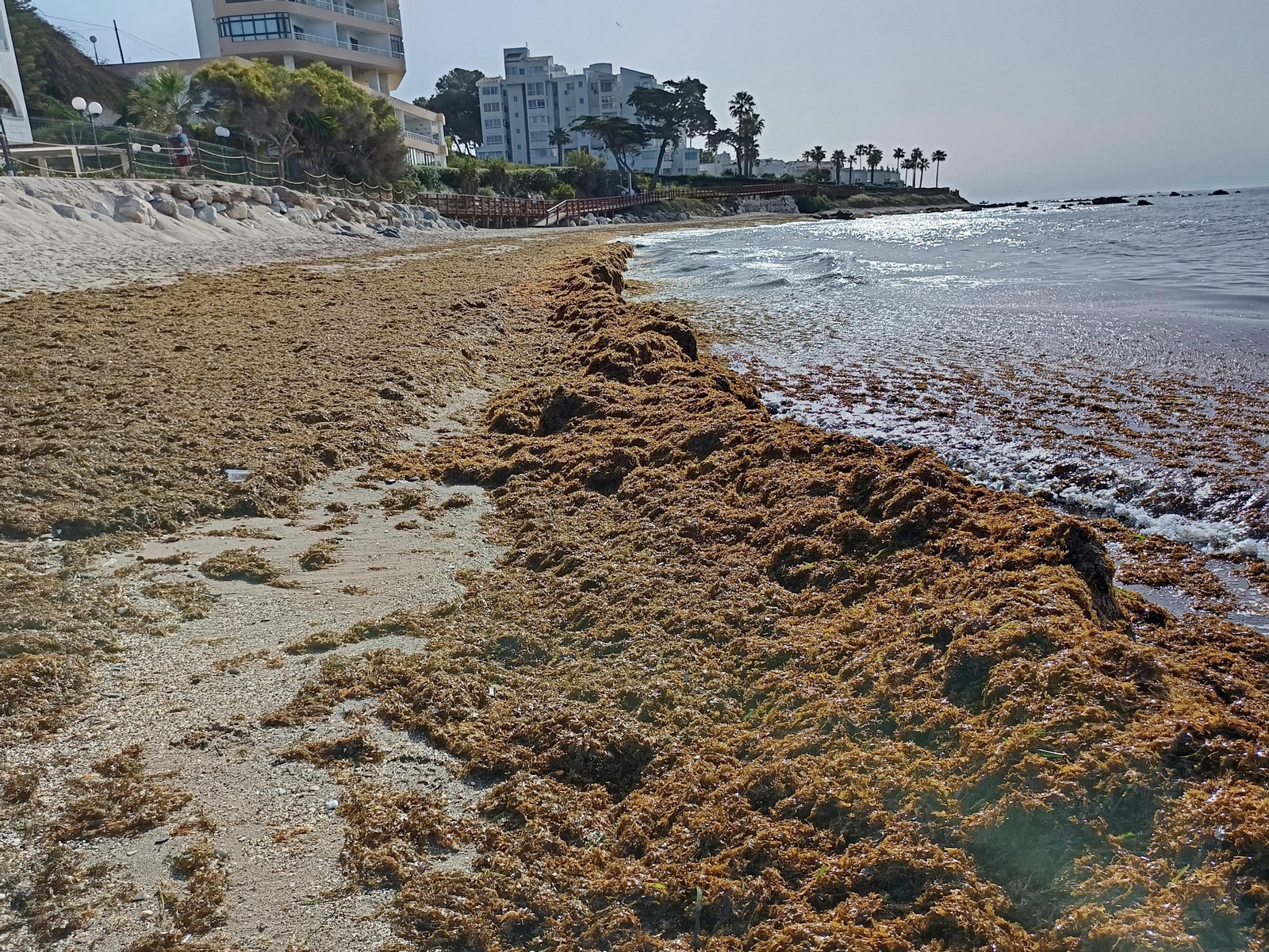 La playa de Calahonda, en Mijas.