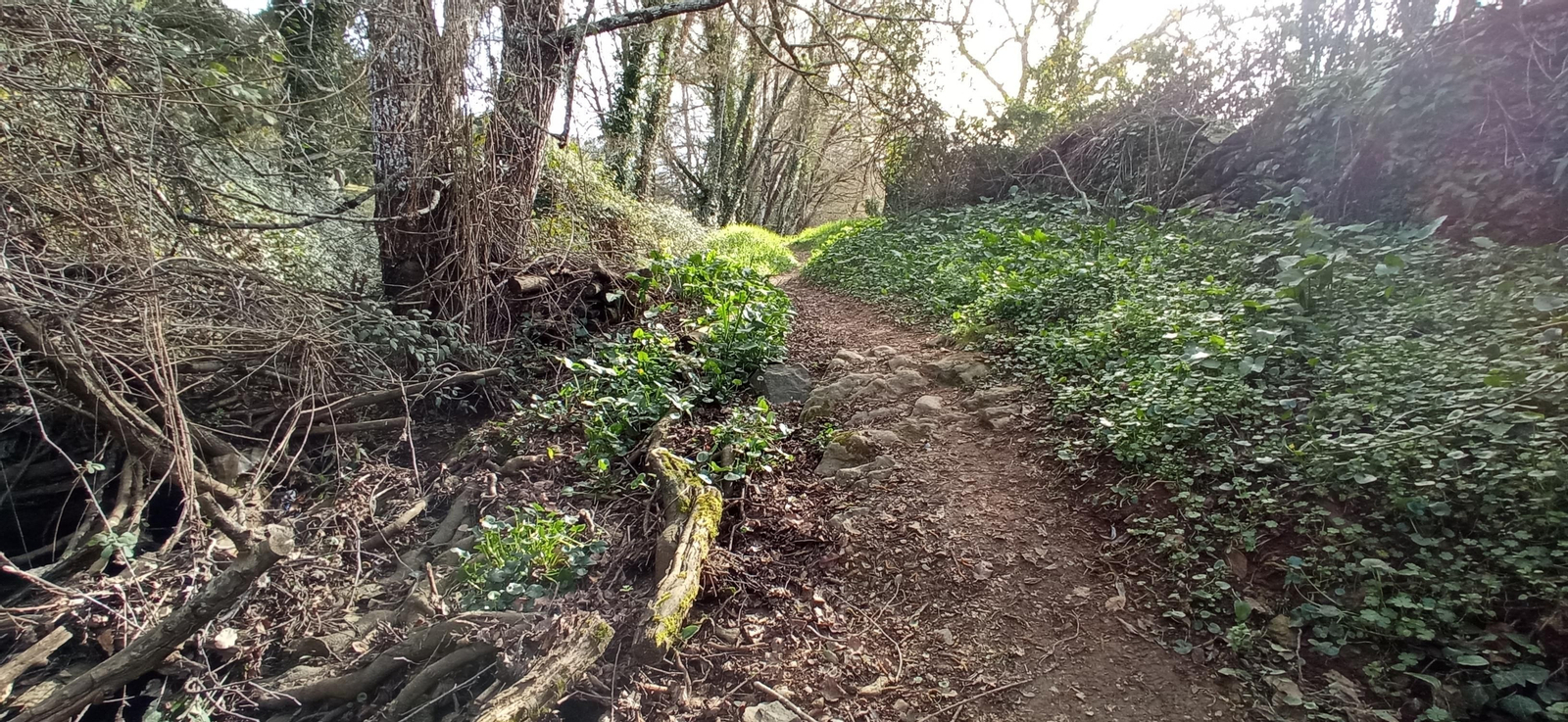 Las imágenes de la ruta de la Dehesa de Valdelama: De Los Marines a Fuenteheridos y vuelta