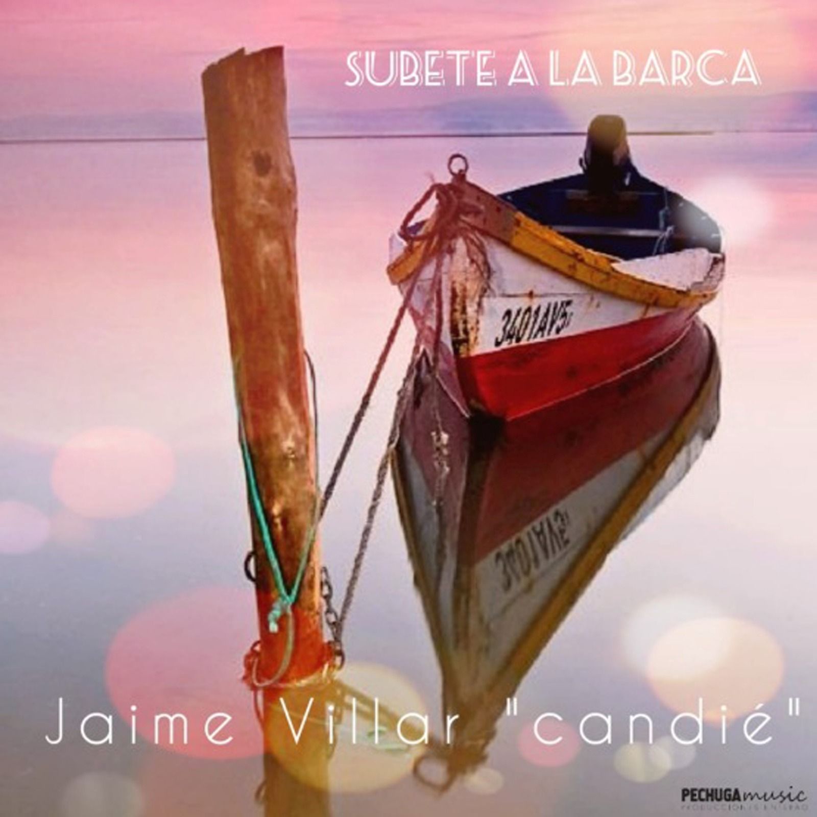 La imagen de la portada.