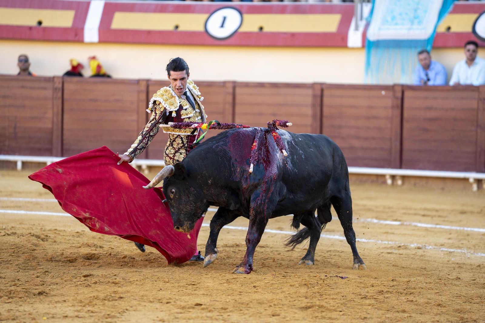 Las imágenes de los toros en Vera