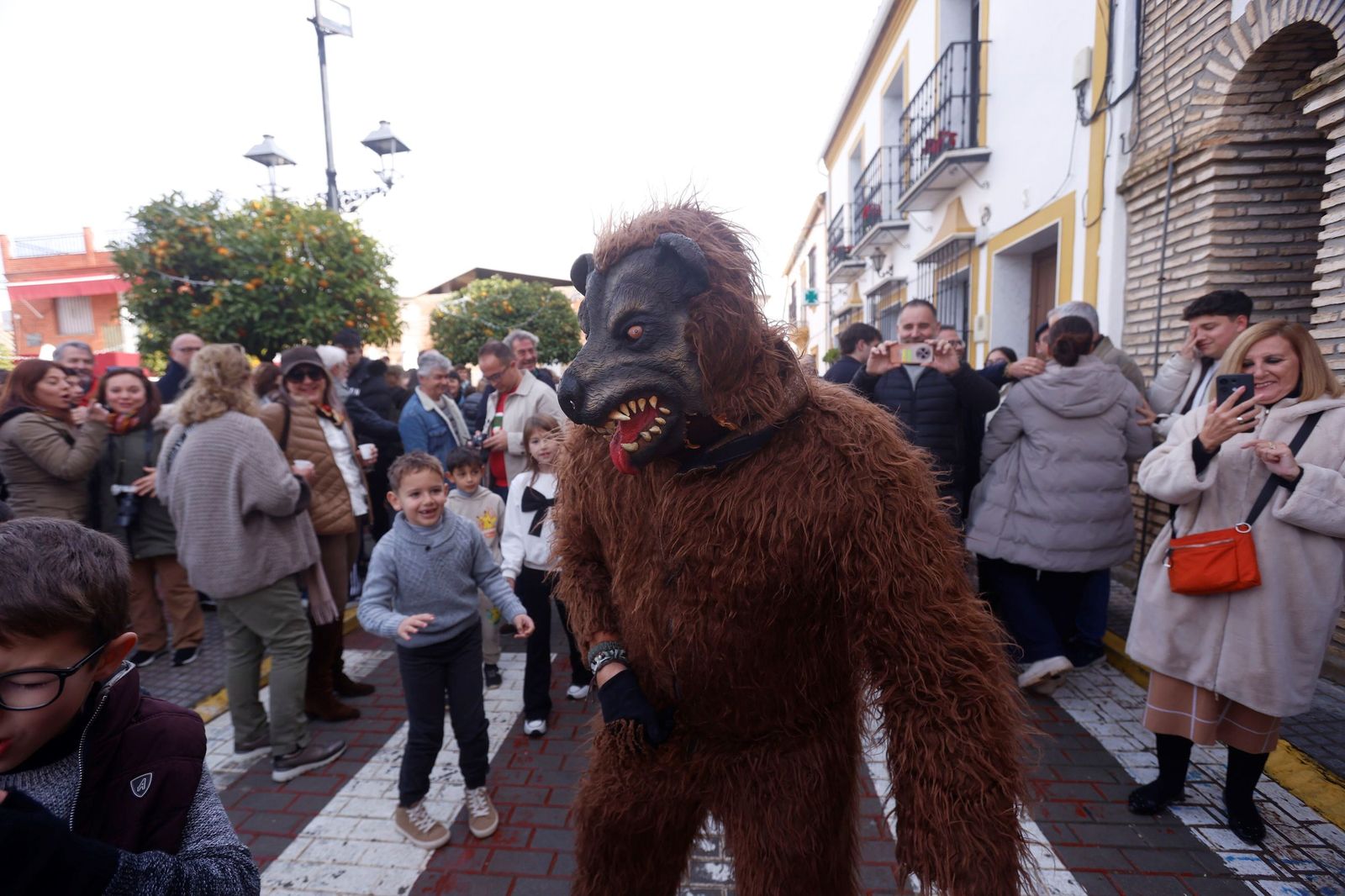 Las mejores imágenes de la Danza de los Locos y el Baile del Oso de Fuente Carreteros