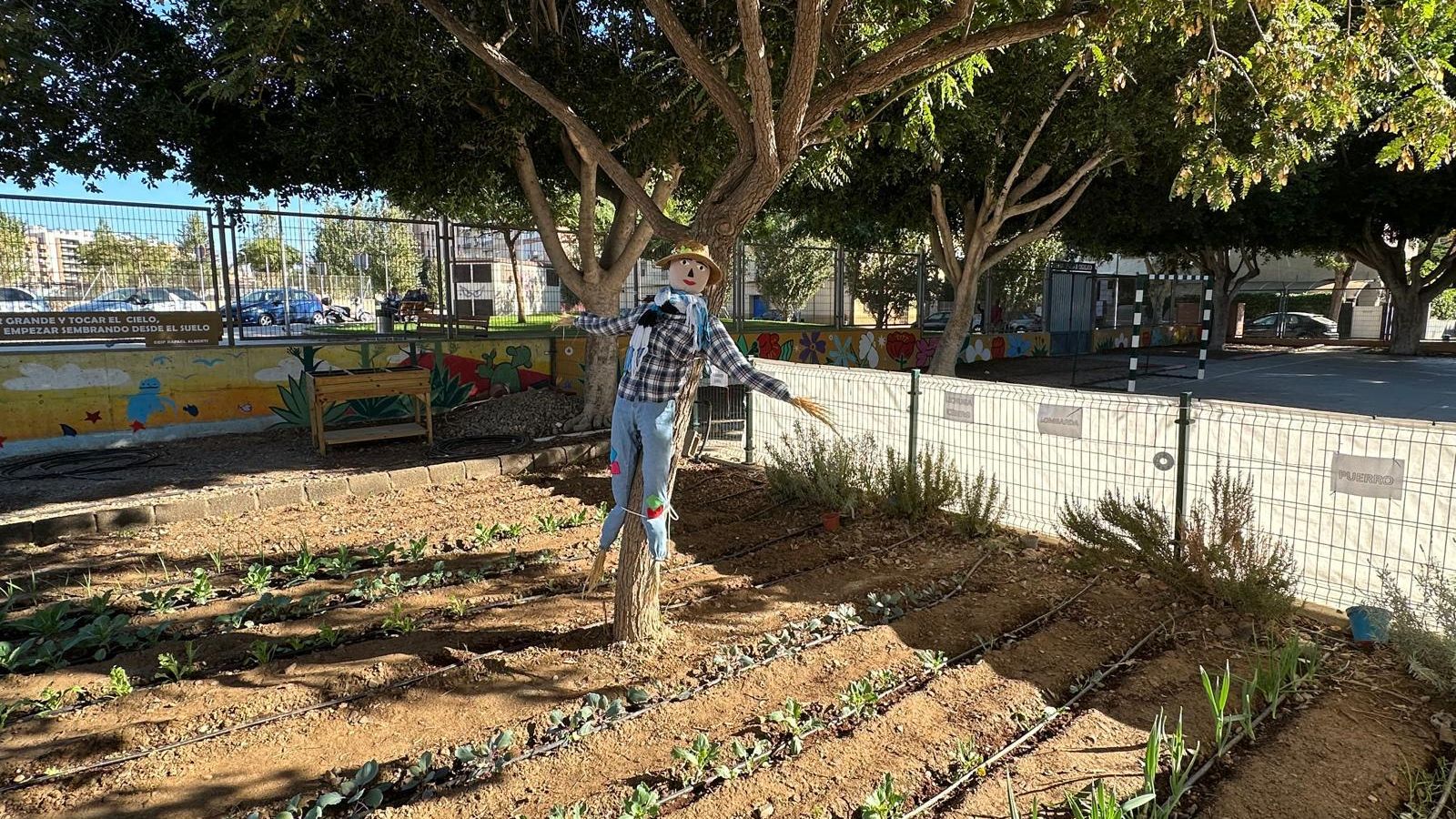 El huerto del CEIP Rafael Alberti de Almería avanza a buen ritmo cuidado por el espantapájaros Rafaelillo
