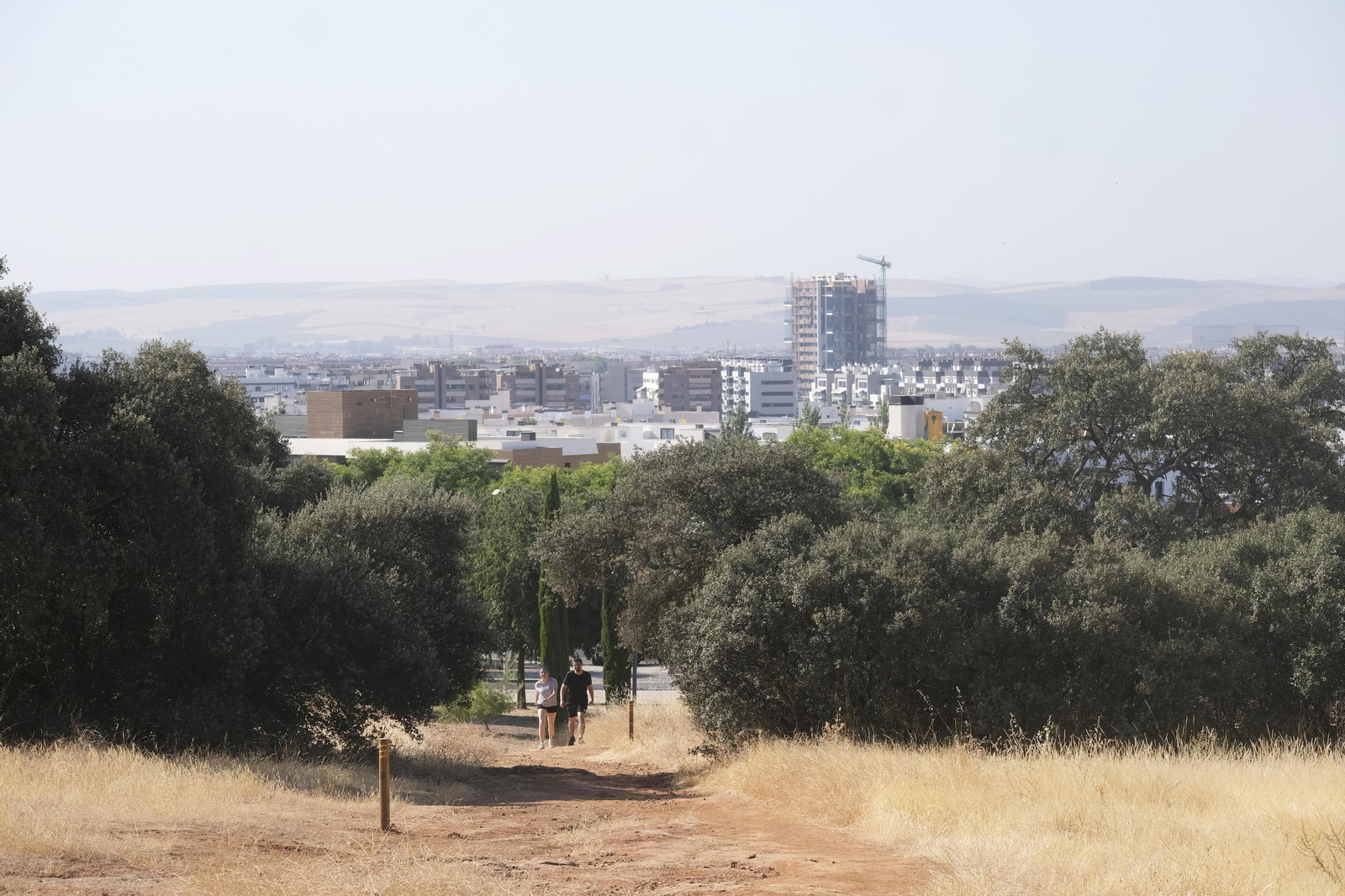 Así luce El Patriarca tras las obras para convertirlo en un parque periurbano