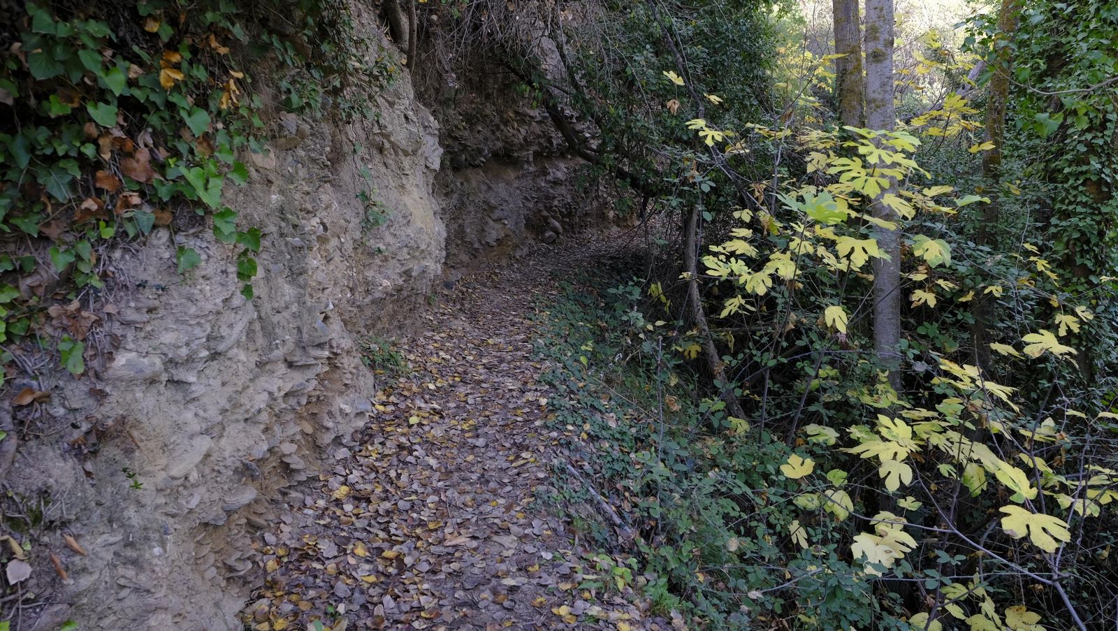 Limpieza y senderismo por la Alpujarra, en imágenes