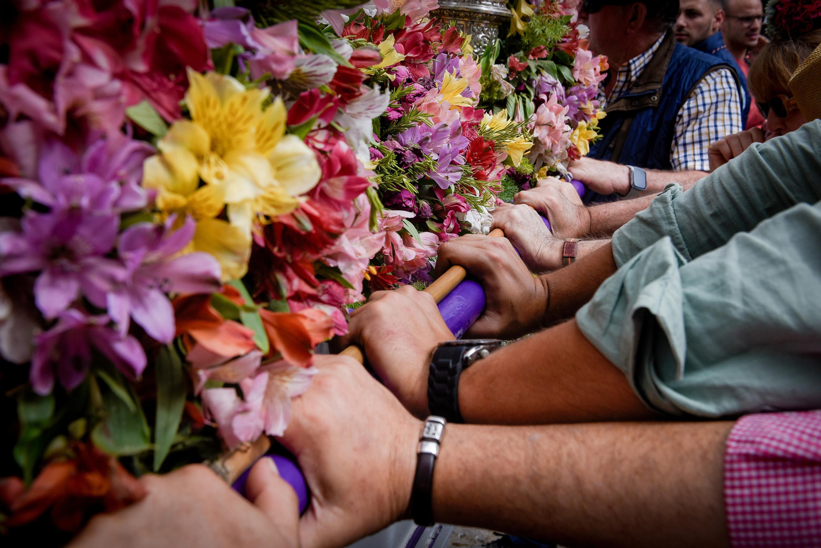El paso de las Hermandades de El Rocío por Villamanrique, en imágenes