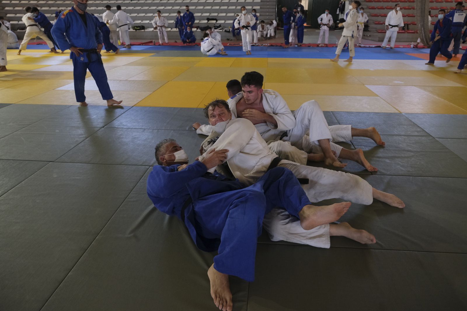 Fotogalería X Campus Internacional de Judo Ciudad de Almería