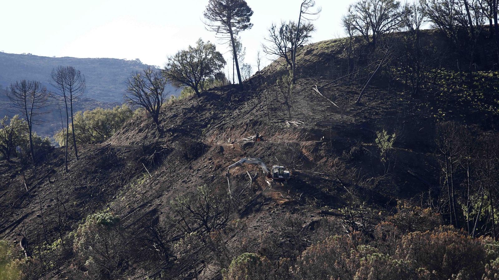 Vista de Sierra Bermeja en la actualidad.