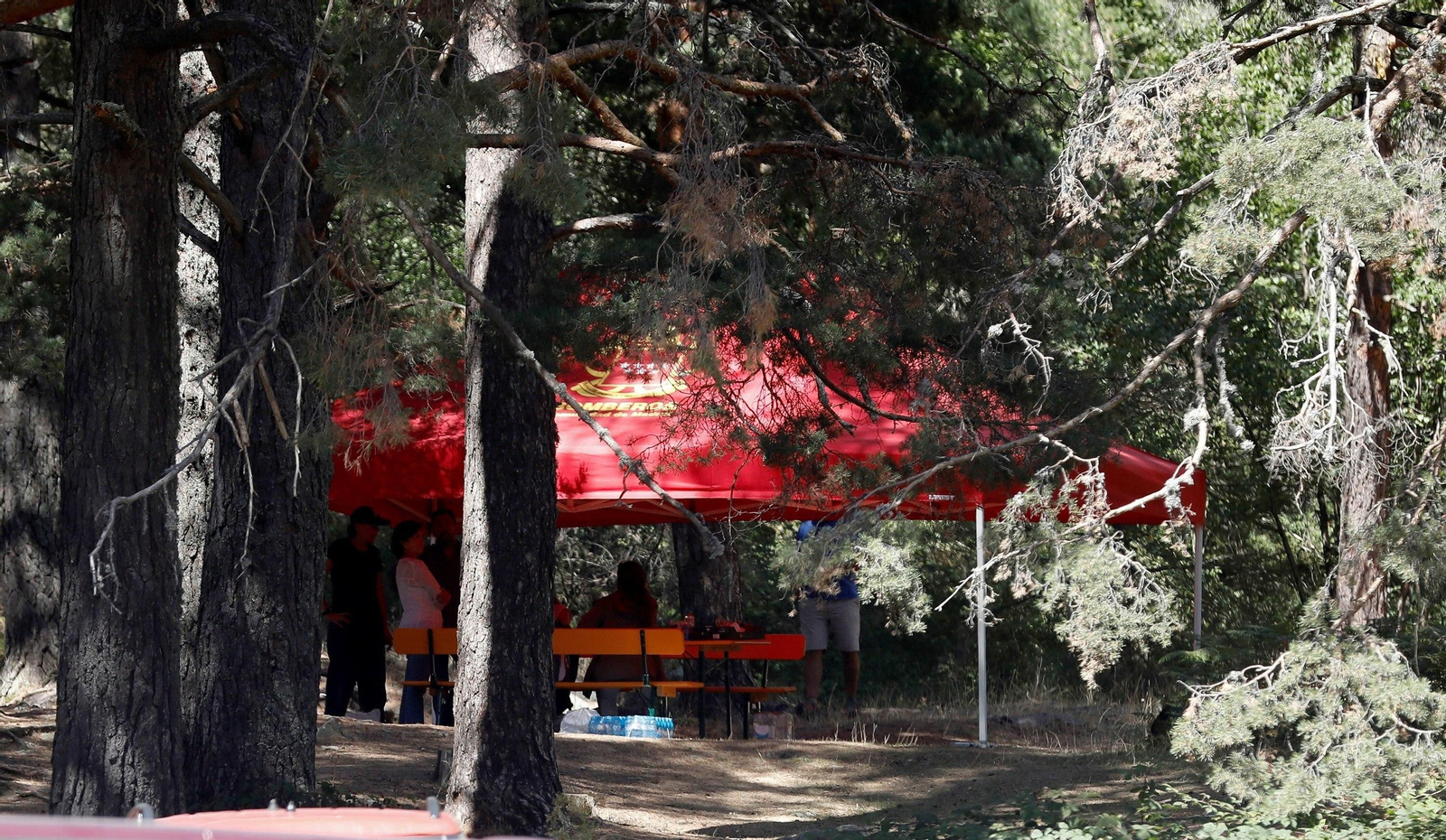 El dispositivo de búsqueda encuentra el cadáver de Blanca Fernández Ochoa