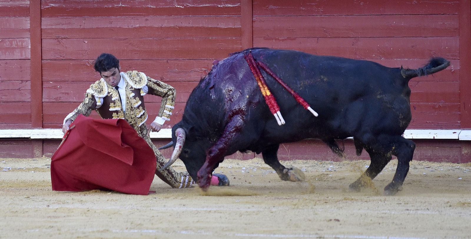 Las imágenes de la corrida en Morón con la reaparición de Jesulín de Ubrique