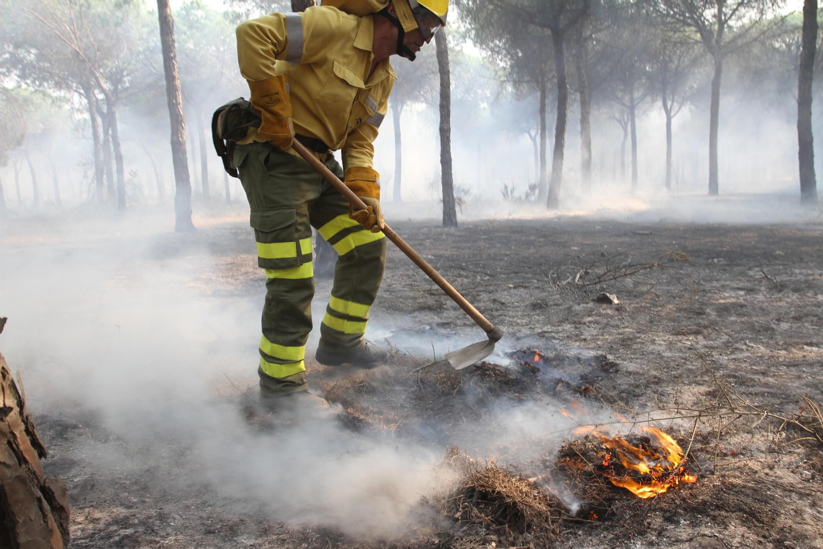 Las imágenes del incendio en Moguer y Mazagón