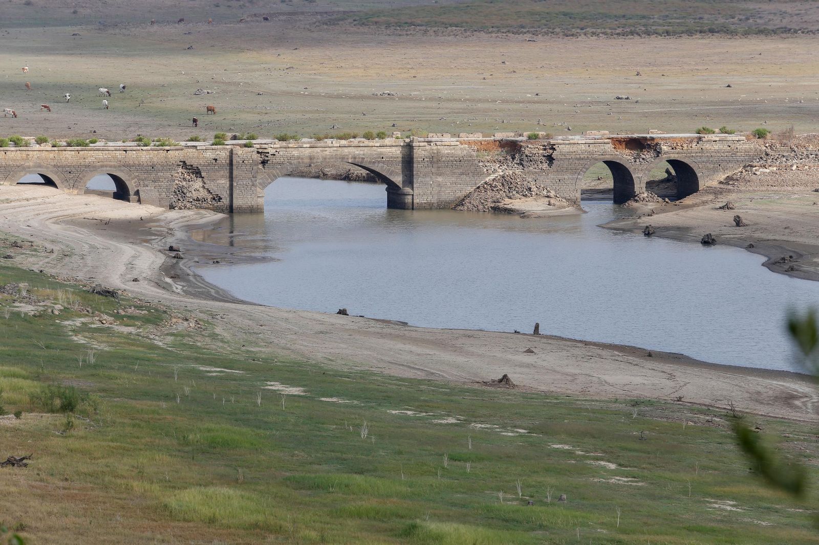Fotos del estado del pantano de Charco Redondo en Los Barrios