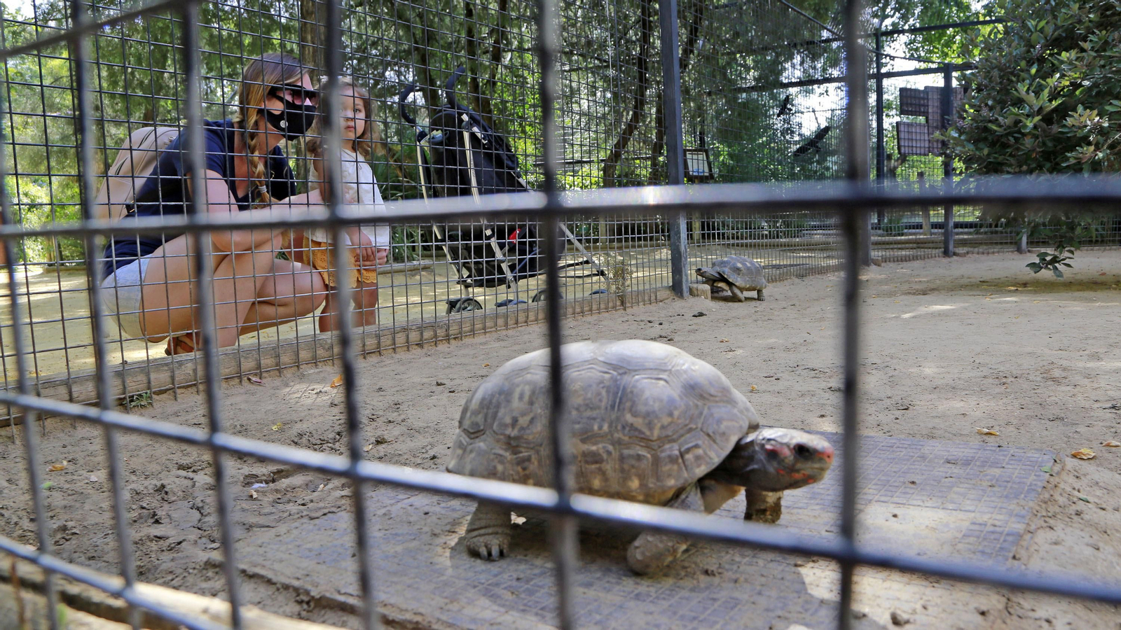 Reapertura del Zoo de Jerez