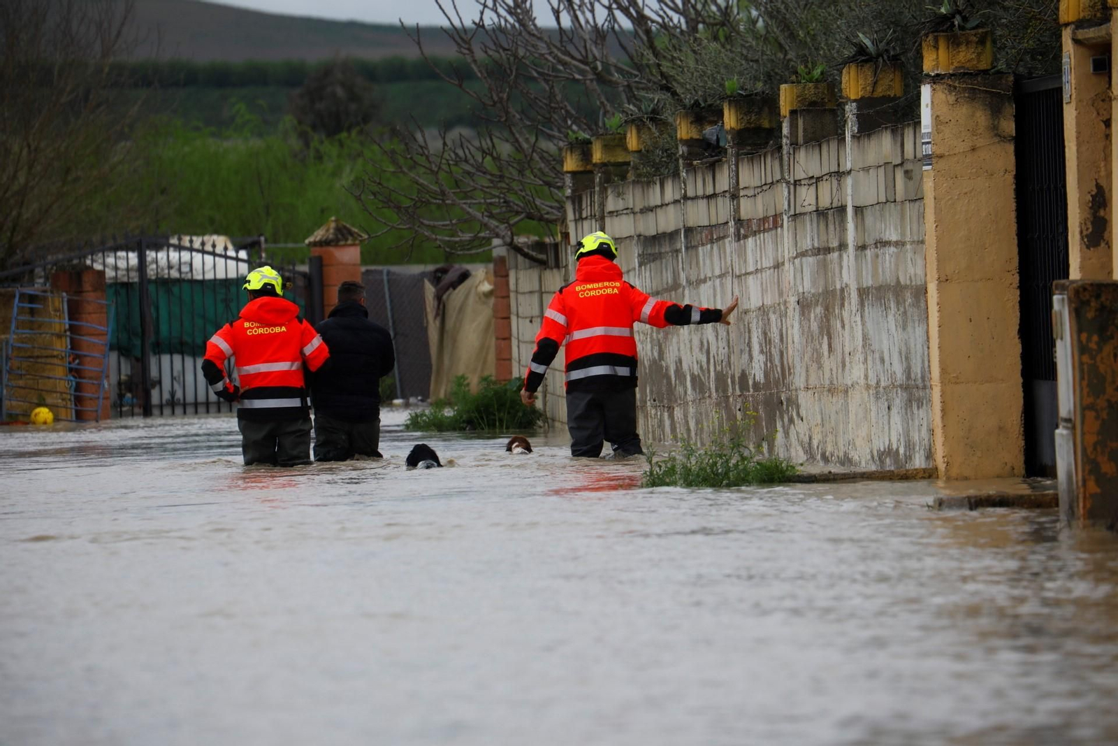 Las imágenes de las parcelaciones inundadas por la crecida del río Guadalquivir