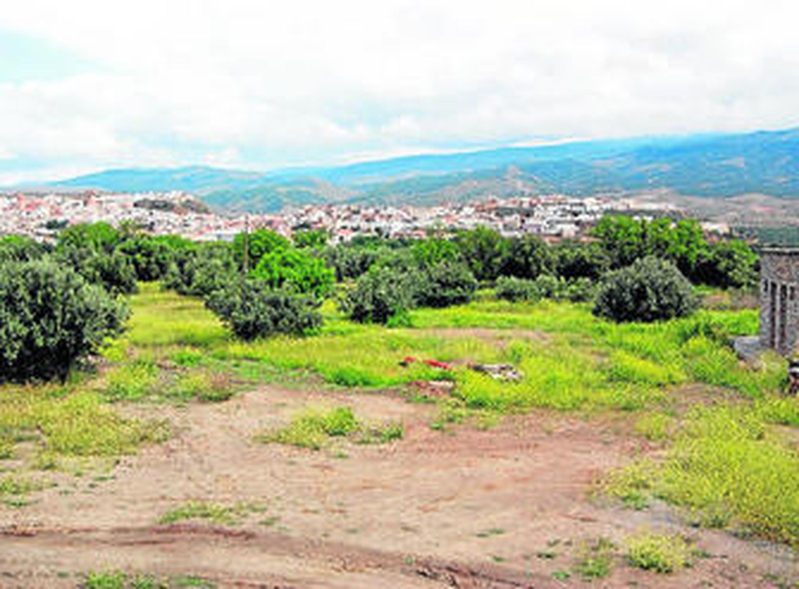 Este es el espacio destinado a la plantación de especies autóctonas.