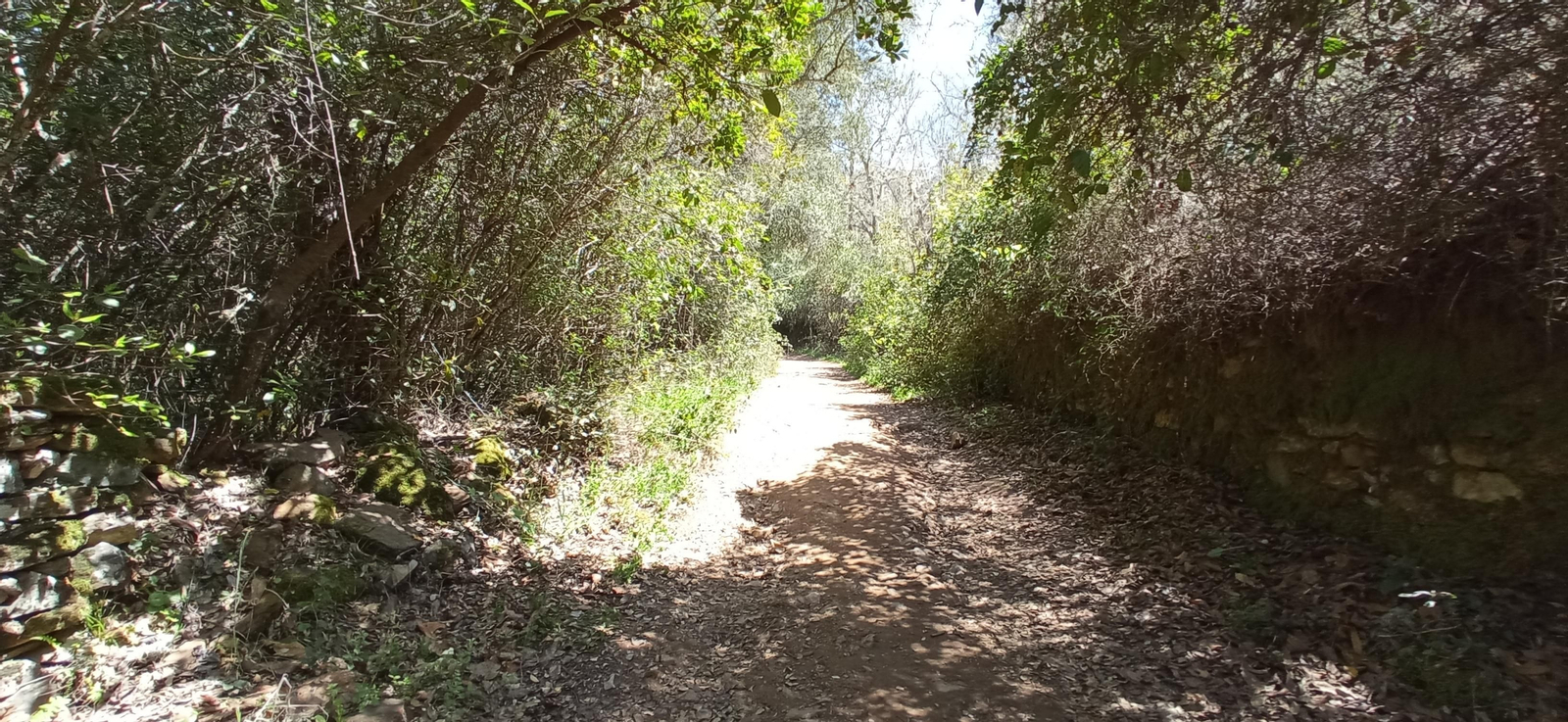 Las imágenes de la ruta de las casas de los Tres Cerditos