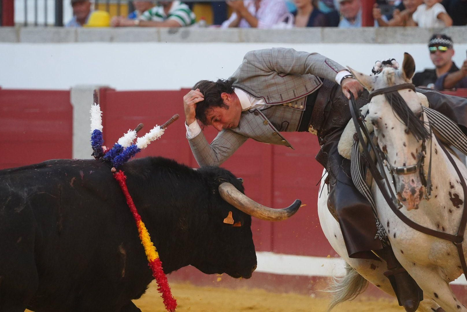 Las mejores fotos de la faena triunfal de Andy Cartagena, Leonardo y Lea Vicens en Pozoblanco Las mejores fotos de la faena triunfal de Andy Cartagena, Leonardo y Lea Vicens en Pozoblanco