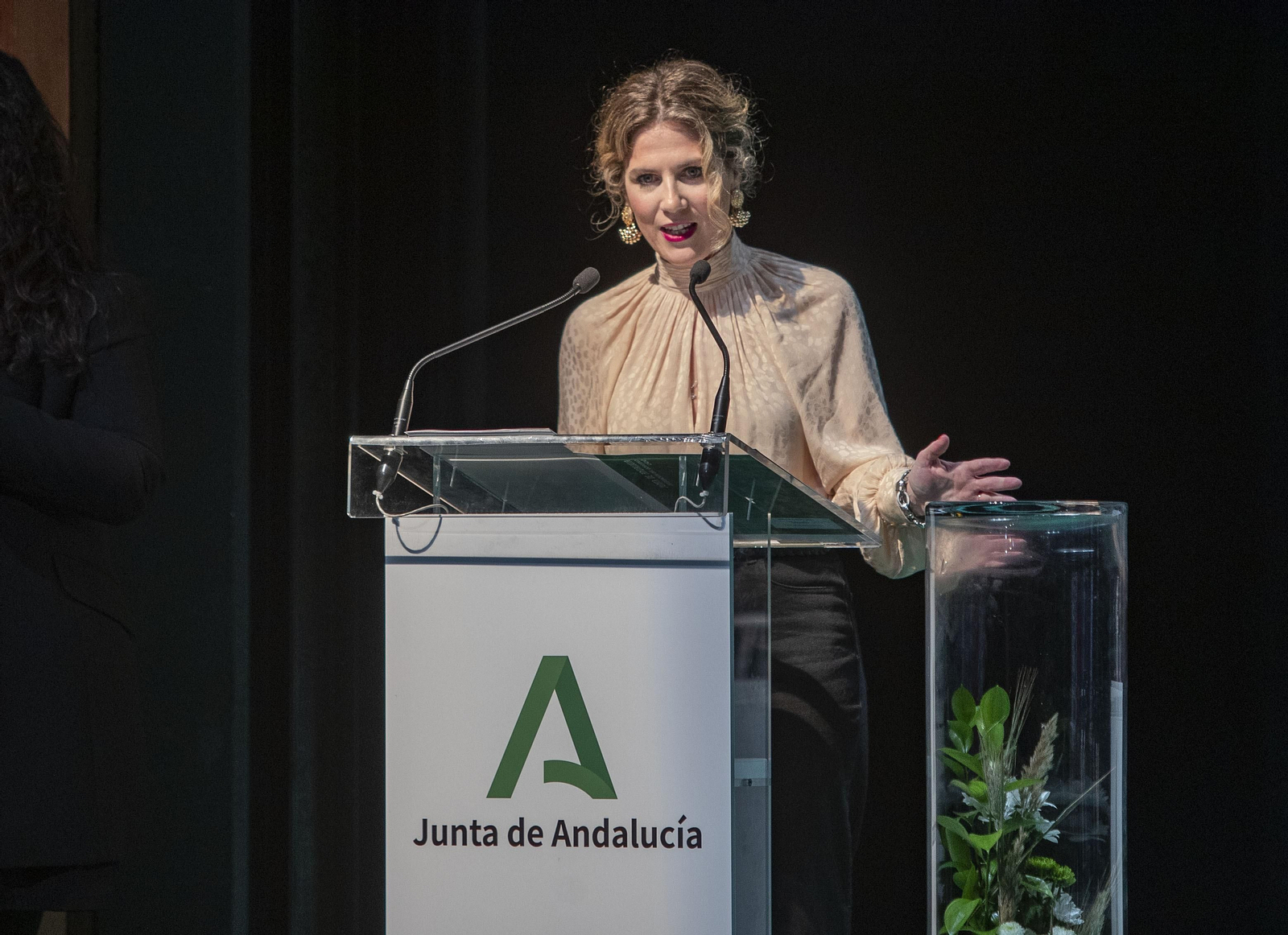 Imágenes de la entrega de las Banderas de Andalucía en la provincia