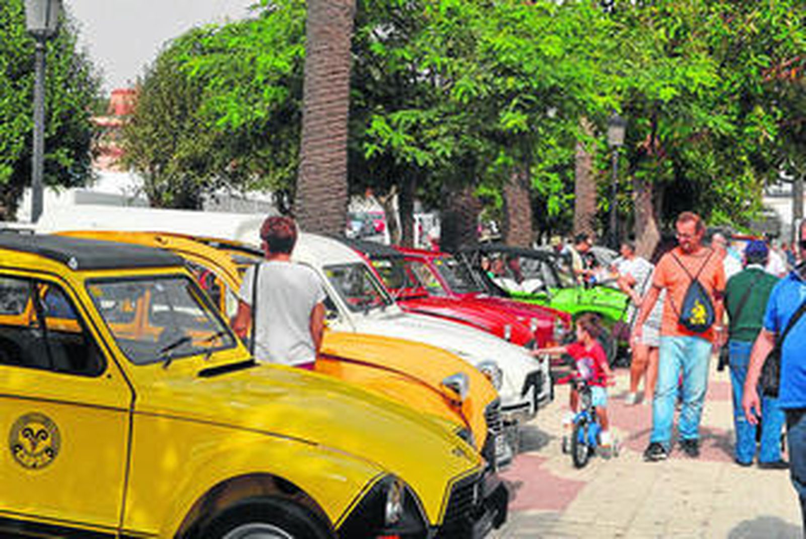 Varios de los Citroën aparcados en la Alameda de Tarifa, ayer por la mañana.