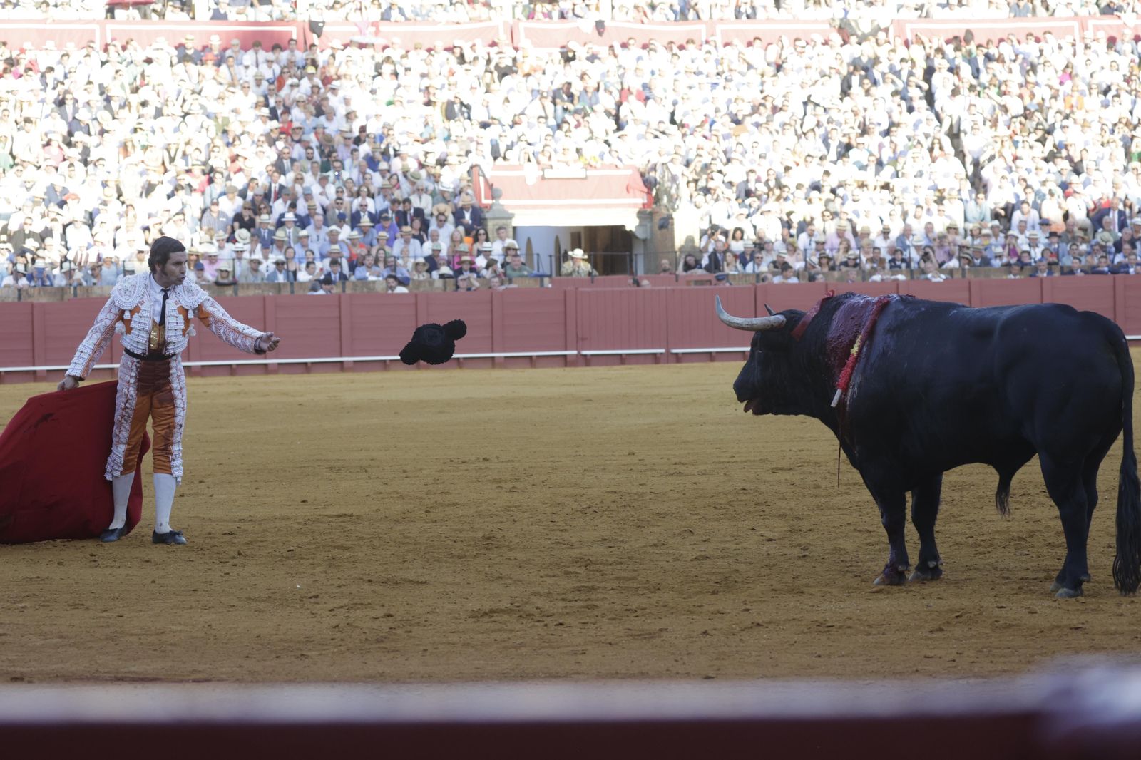 Las imágenes del festejo