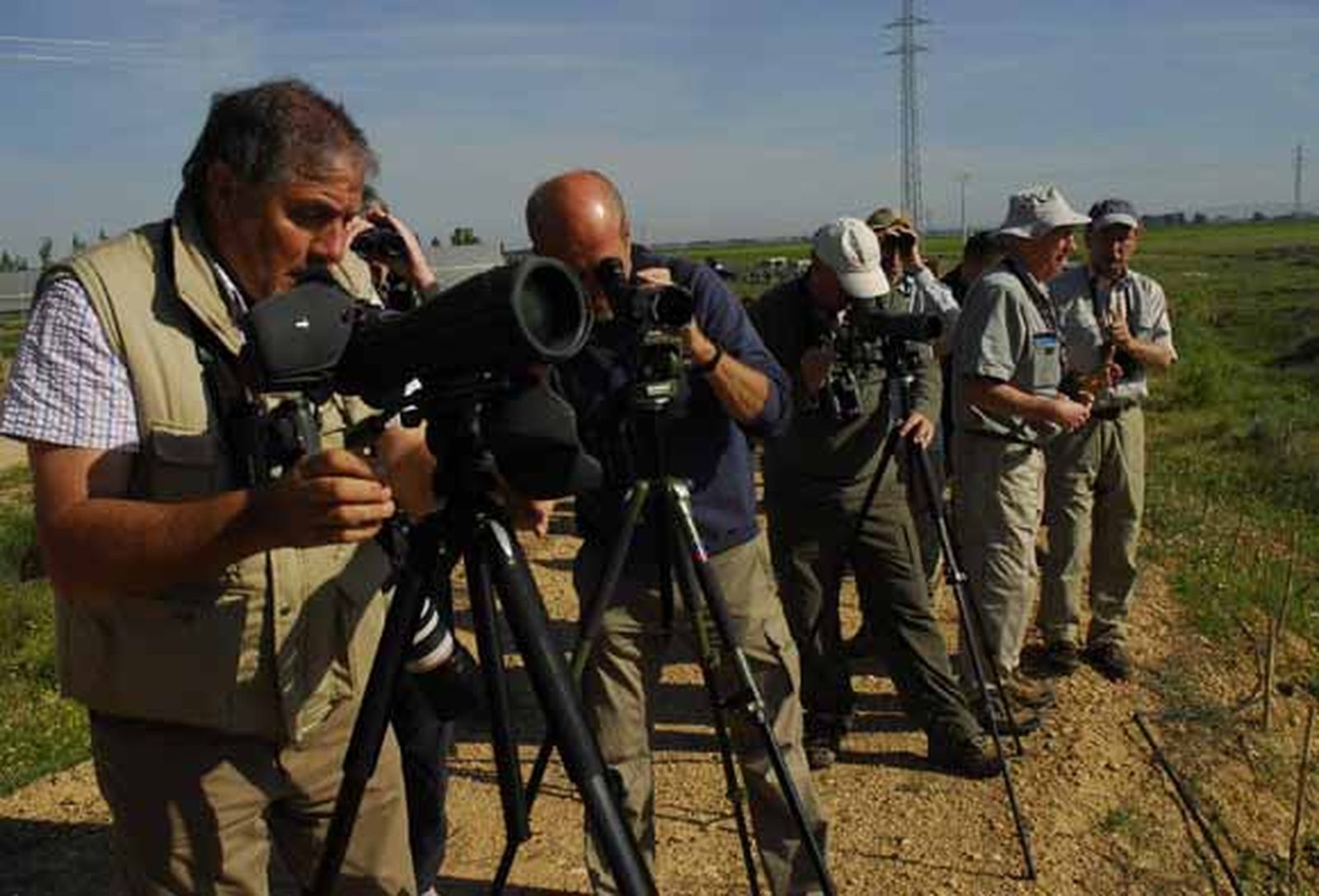 Una cita para conocer la riqueza ornitológica del Espacio Natural de Doñana