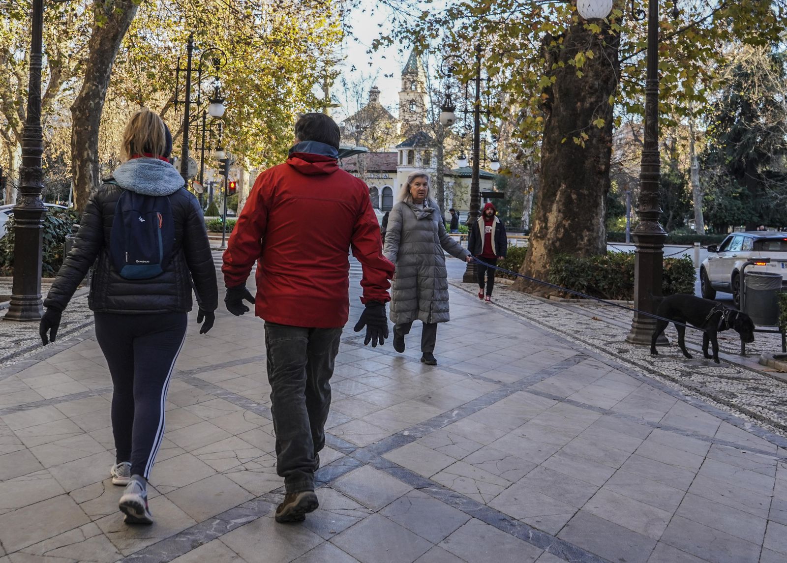 Avisos amarillos por mínimas bajo cero en Granada