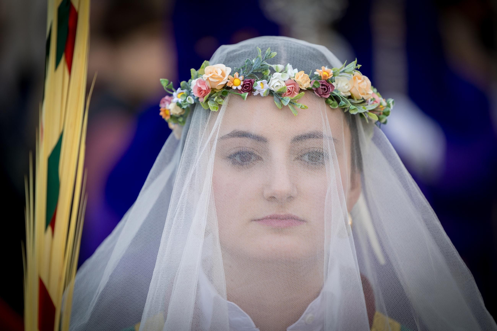 Imágenes de la salida de Afligidos en la Semana Santa de Cádiz 2025