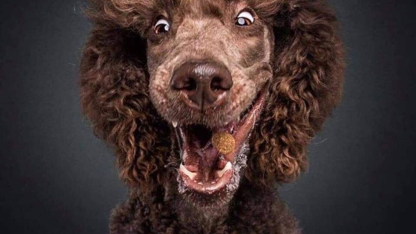 Sesión de fotos 15