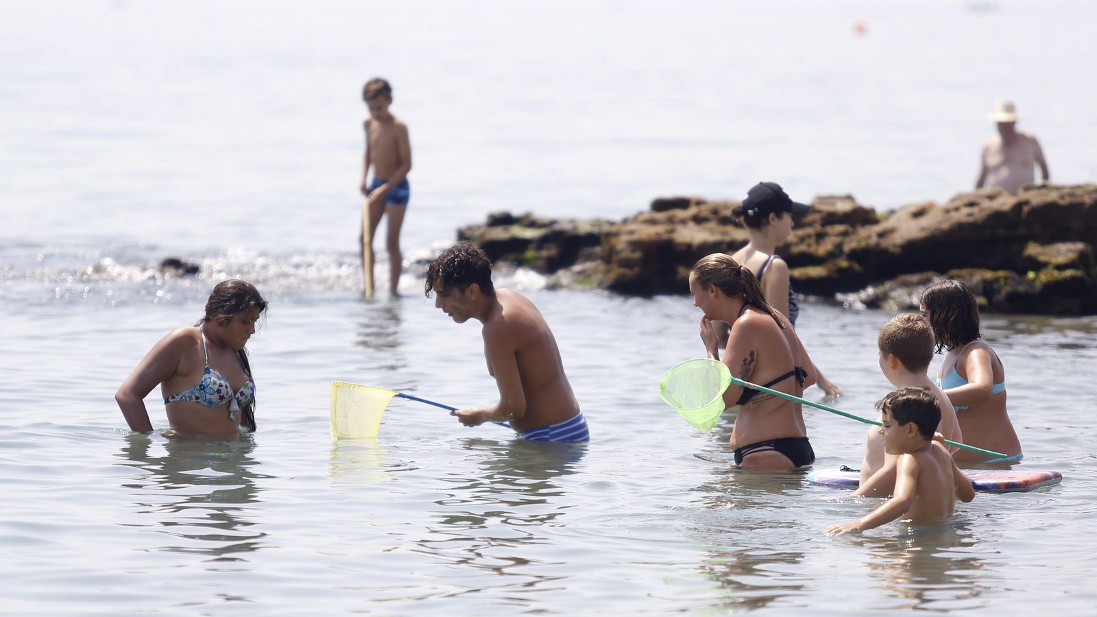 Bañistas, en la playa de Huelin, con redes a la 'caza' de medusas. Bañistas, en la playa de Huelin, con redes a la 'caza' de medusas.