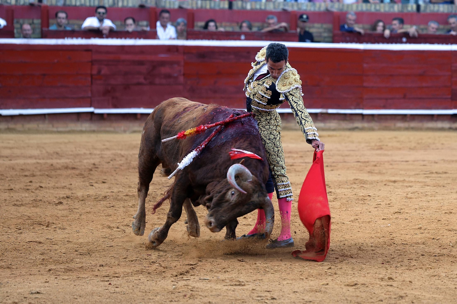 Toros La Merced 2025: Imágenes de la corrida de David de Miranda, Marco Pérez y Borja Jiménez