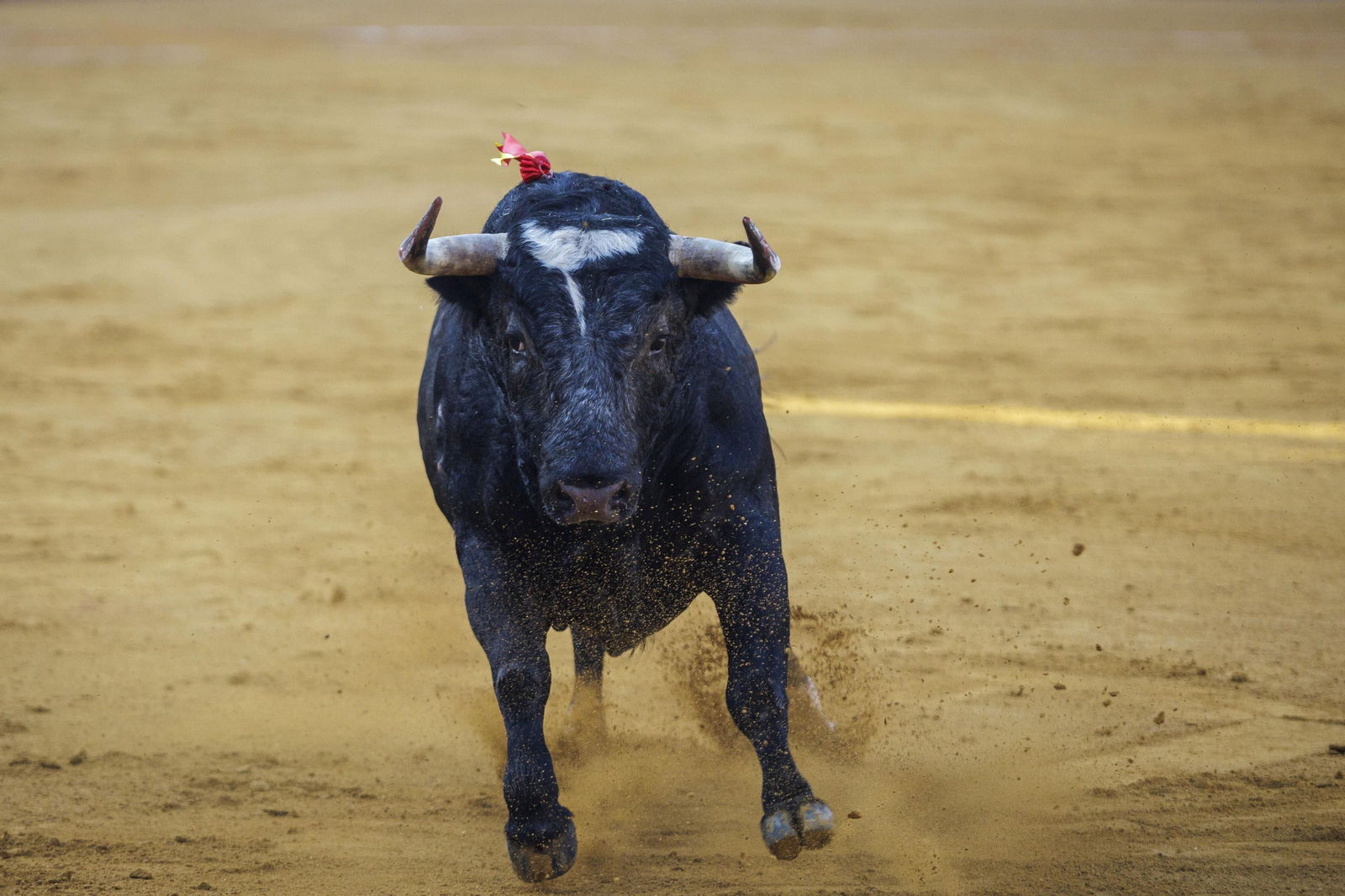 Las imágenes de la tarde de toros del domingo en El Puerto
