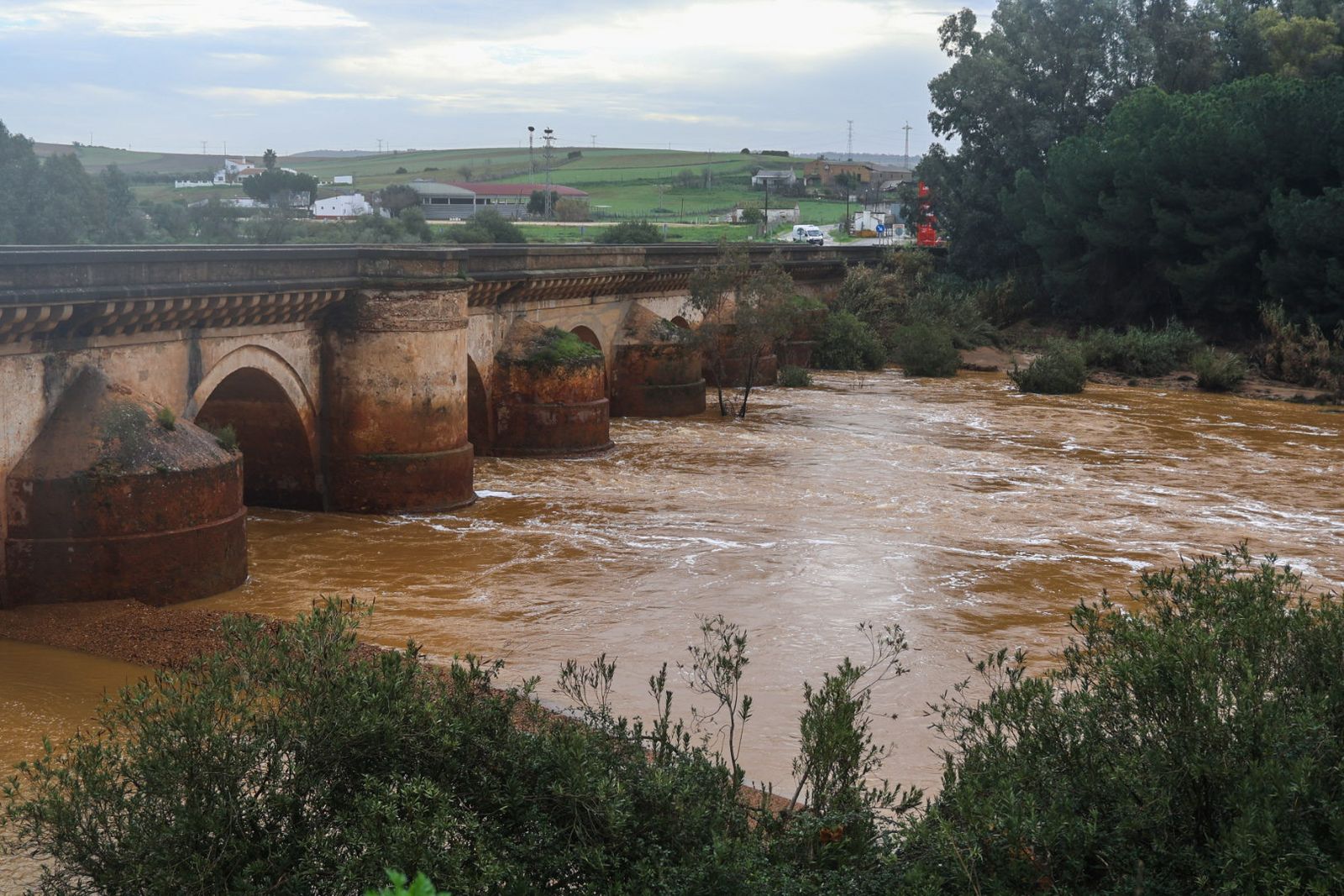 Fotografías del río Tinto a su paso por Niebla