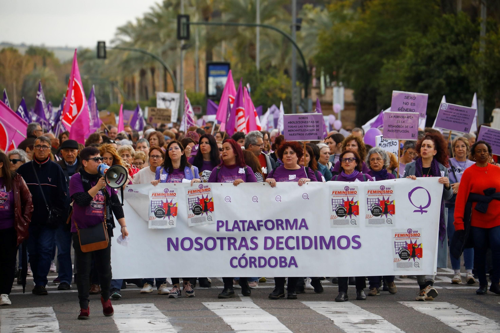 La manifestación del 8M en Córdoba, en imagenes