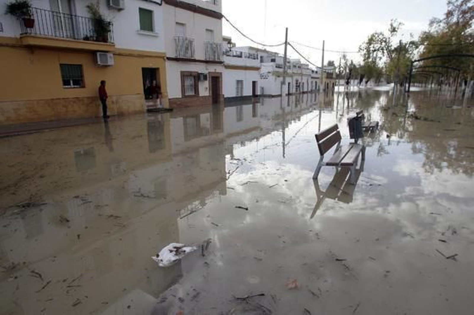 El Río Guadalquivir se desborda a su paso por Lora del Río.

Foto: Juan Carlos Muñoz
