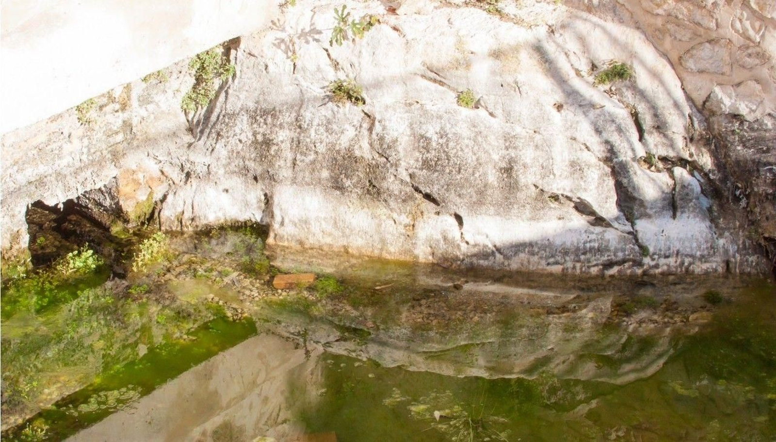 Conoce la historia de la Charca de Pegalajar y Fuente de la Reja: un legado patrimonial escrito con agua