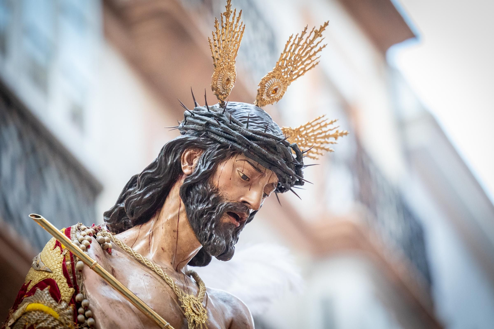 Las imágenes de la archicofradía de Ecce Homo en la Semana Santa de Cádiz de 2024