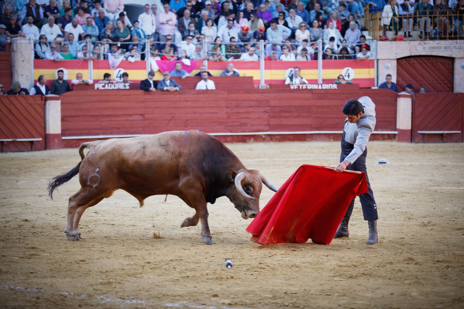 Imágenes del festival mixto lucha contra el cáncer