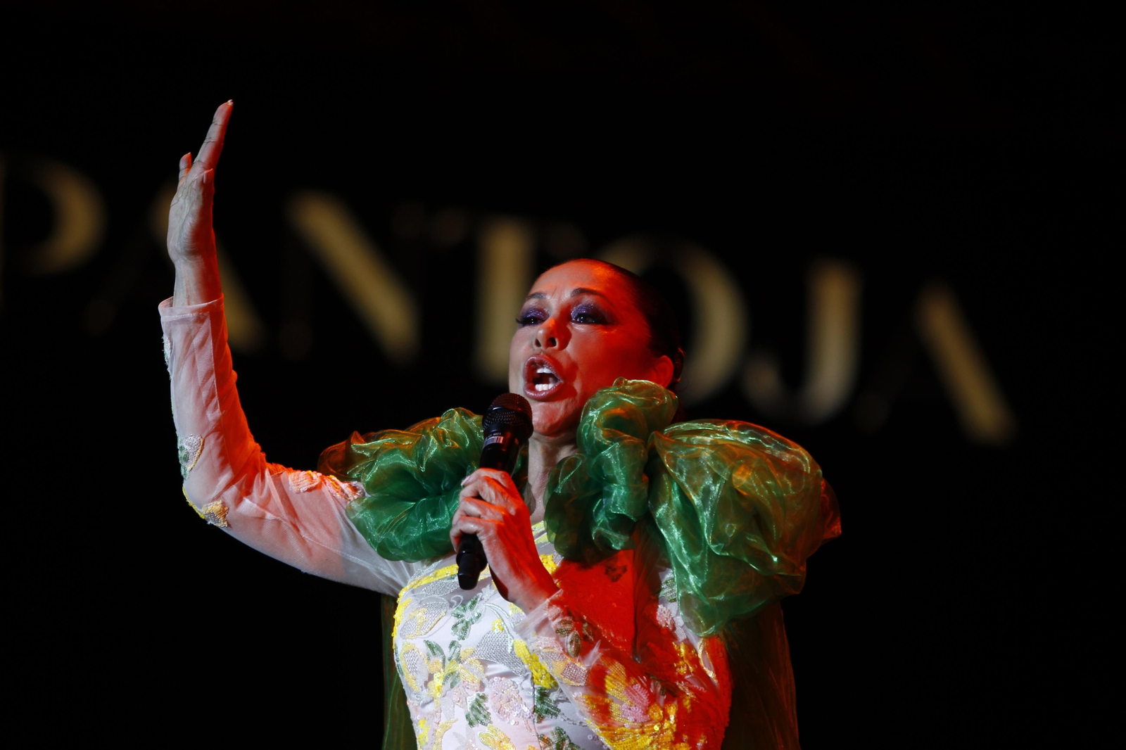 Isabel Pantoja cautiva al público de Almería en la plaza de toros
