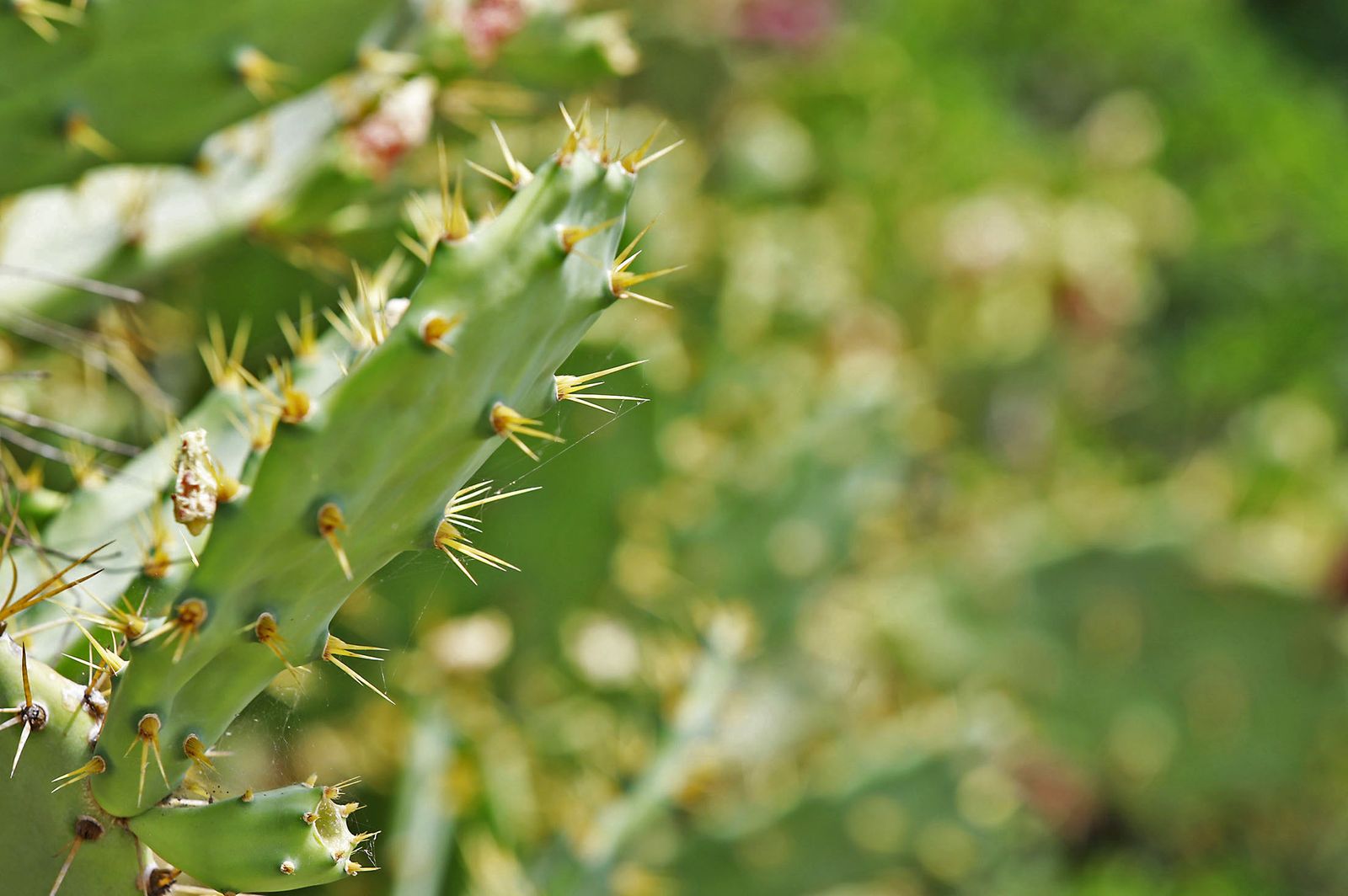 Las imágenes más destacadas del domingo 4 de junio en Huelva