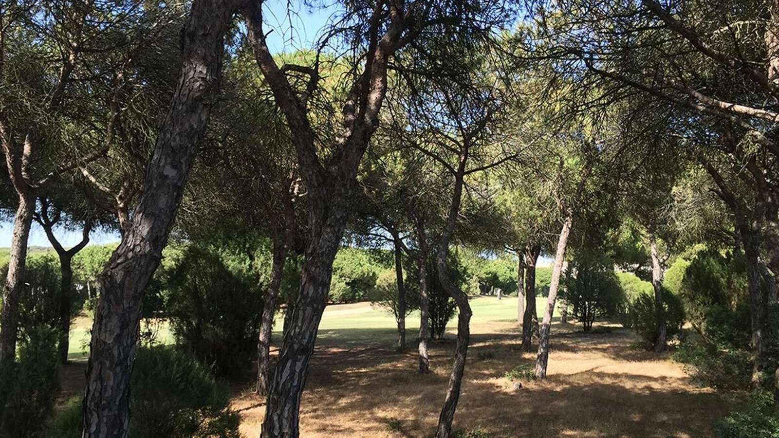 Una ruta de contrastes de Cartaya a Nuevo Portil