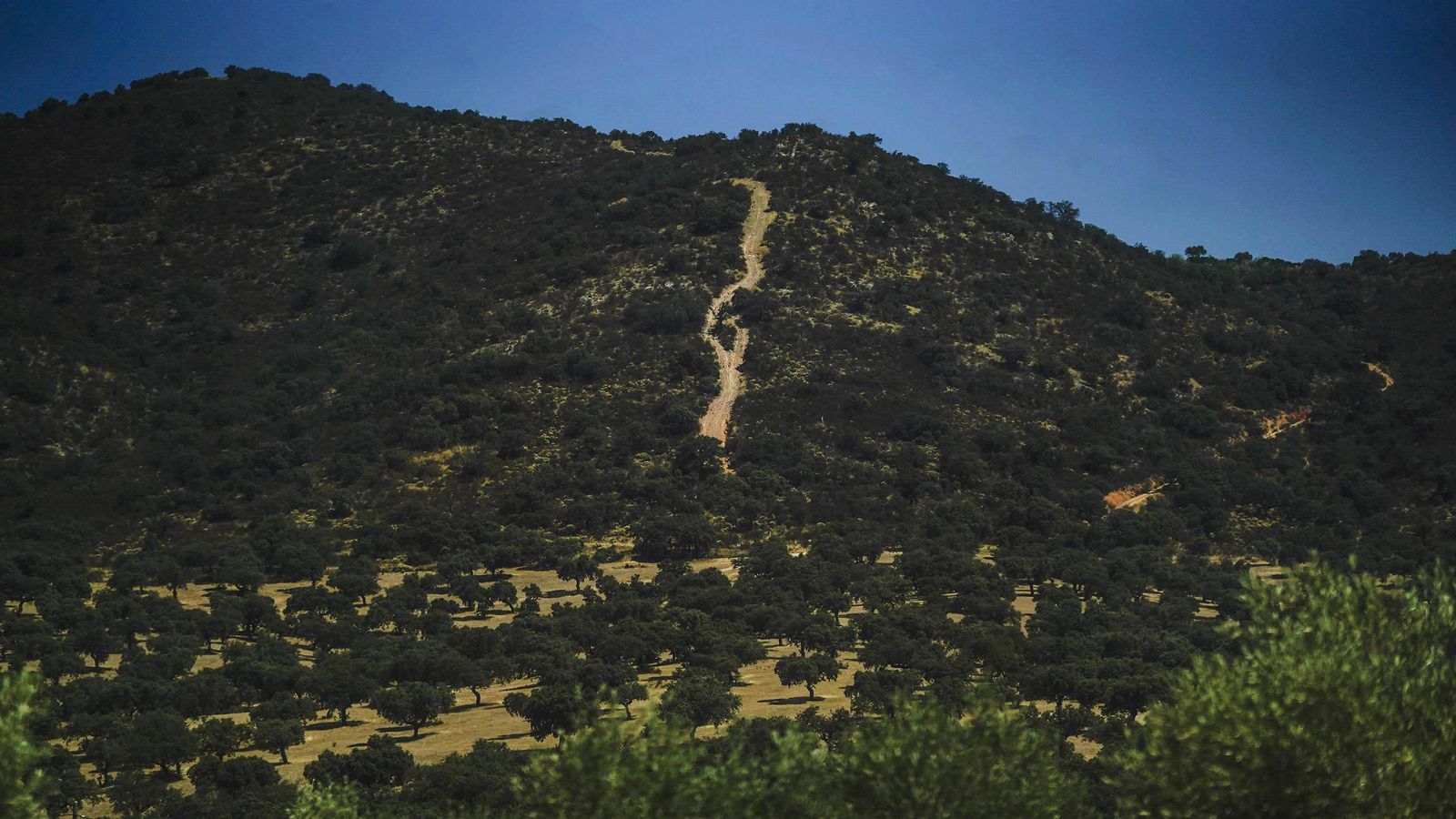 Panorámica de la zona.