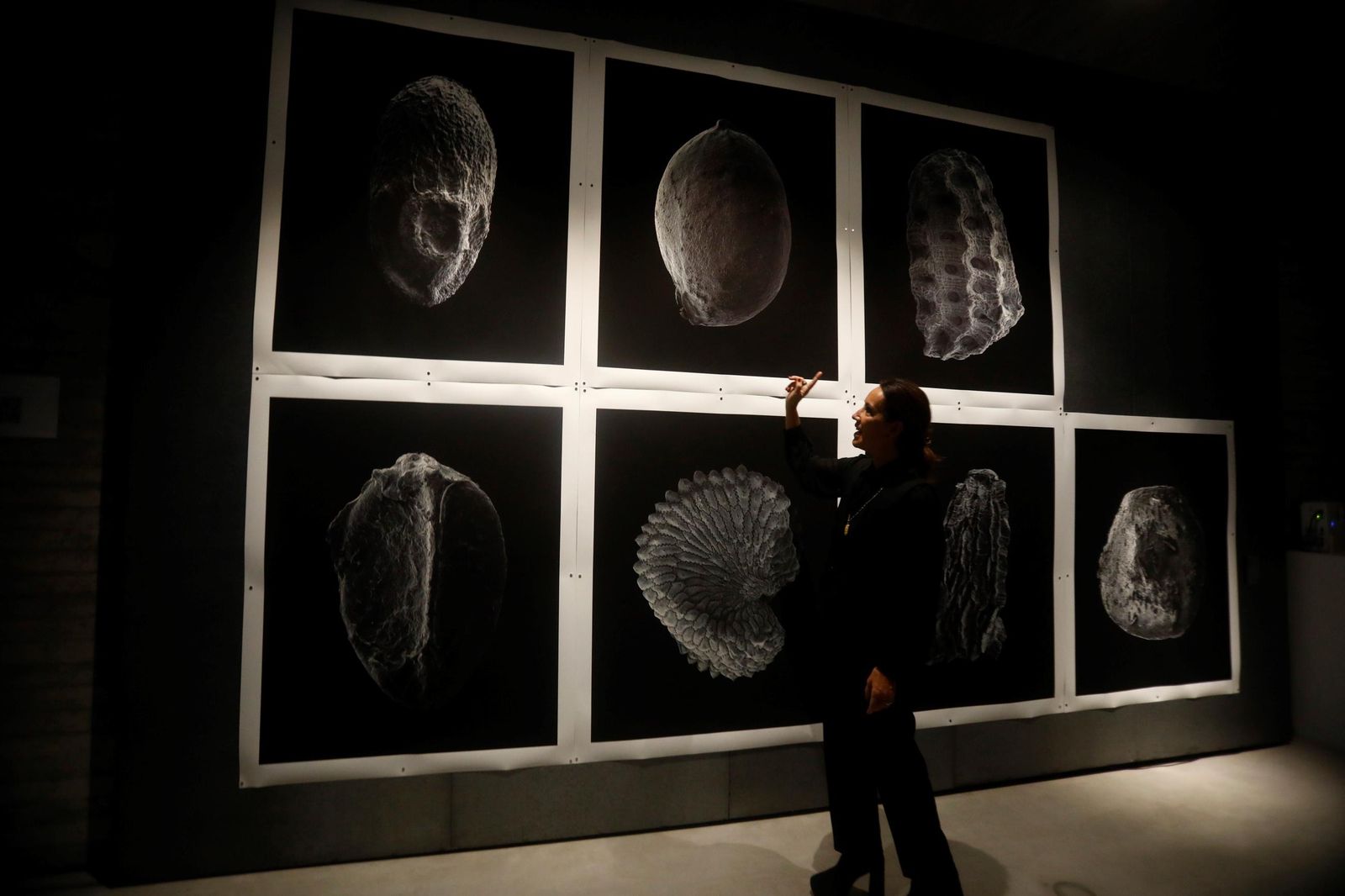 Los artistas residentes del C3A muestran sus obras