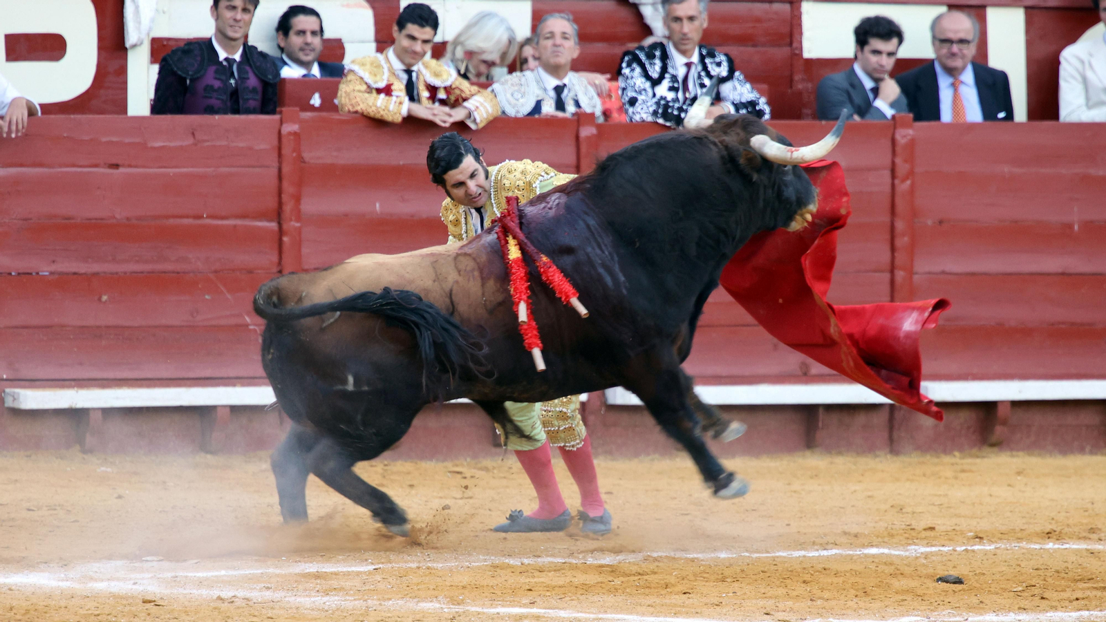 Morante, Castella y Pablo Aguado en la Corrida Concurso de Ganadería
