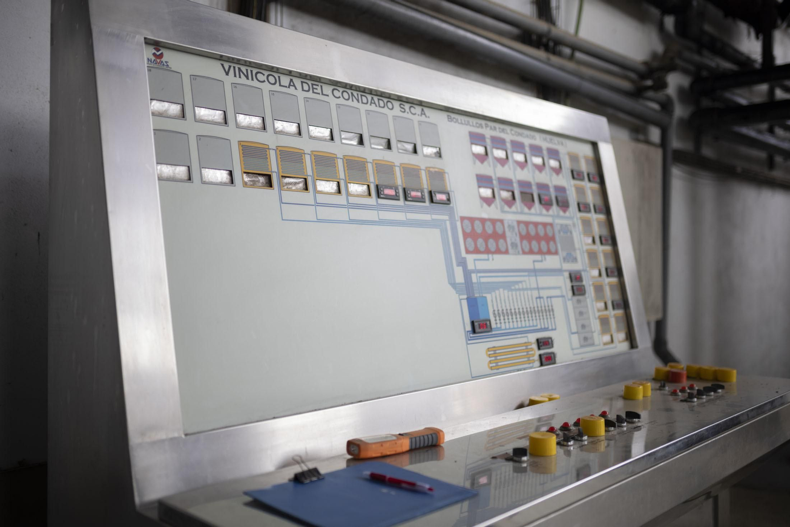 Imágenes de la vendimia en el Condado de Huelva